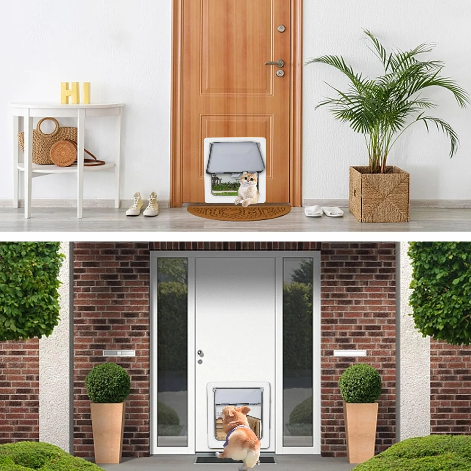 Porta grande per cani con piastra di bloccaggio magnetica, resistente alle intemperie, taglia L per animali domestici