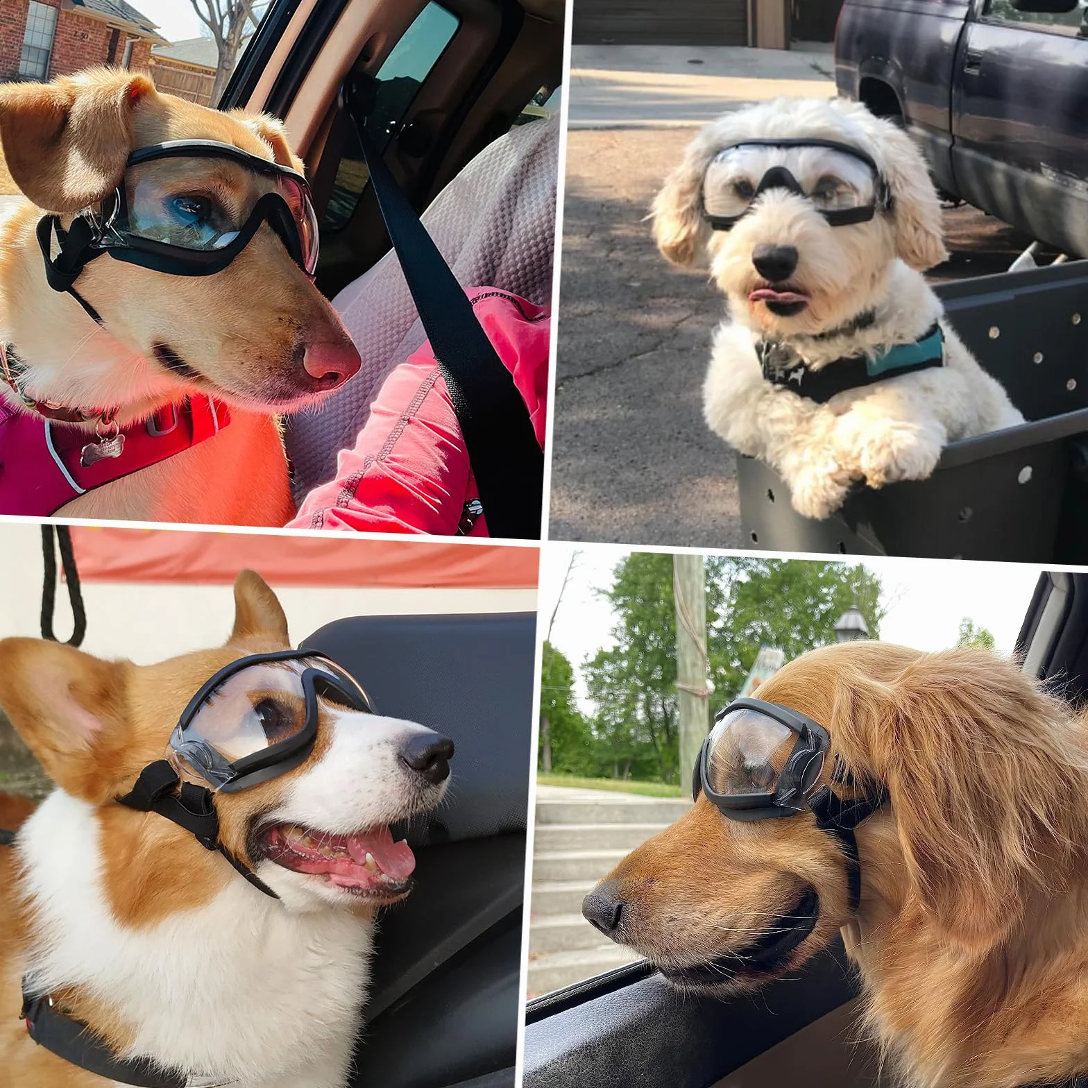 NAMSAN Occhiali da Sole per Cani con Cinturino Regolabile Protezione Occhi Taglia Medio-Grande
