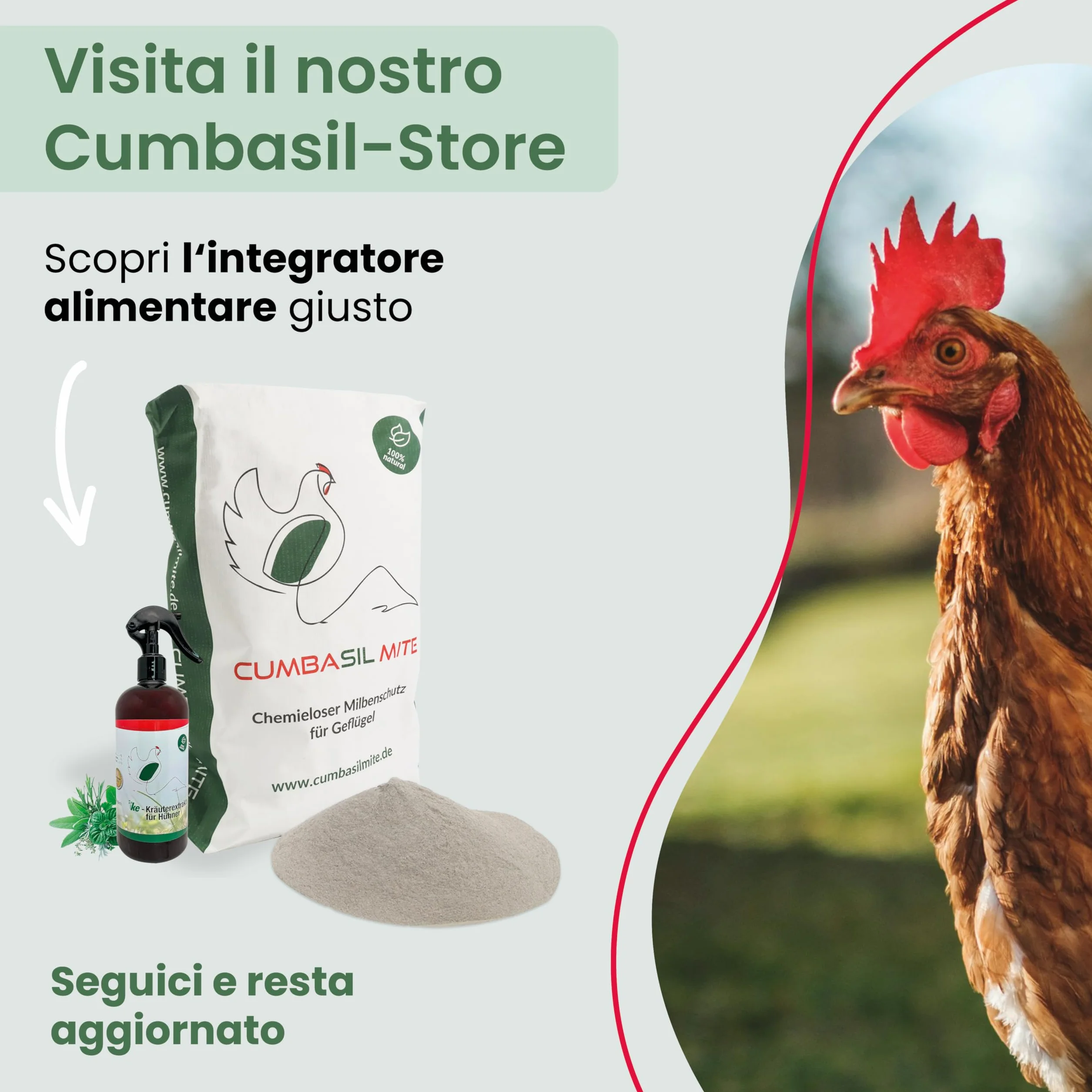 Bagno di polvere antiacaro per polli 25 kg, bagno di sabbia in polvere contro gli acari, rimedio antiacaro per polli, protezione antiacaro naturale, polvere
