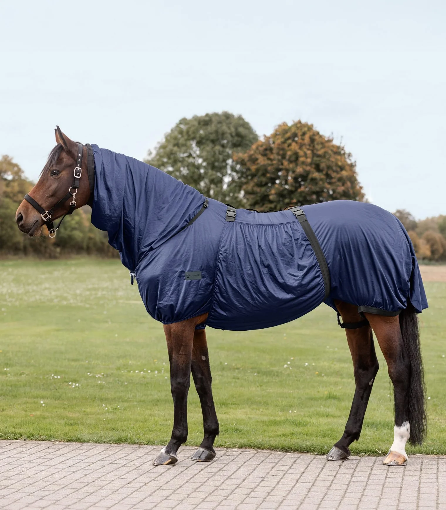 Waldhausen Coperta eczema Basic, blu notte, 135 cm