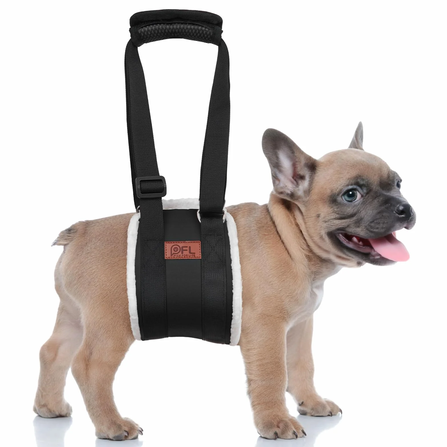 Supporto per cani regolabile, tracolla portatile per la riabilitazione di cani di piccola taglia – Deambulatore con manici come supporto di sicurezza per cani disabili, feriti o anziani