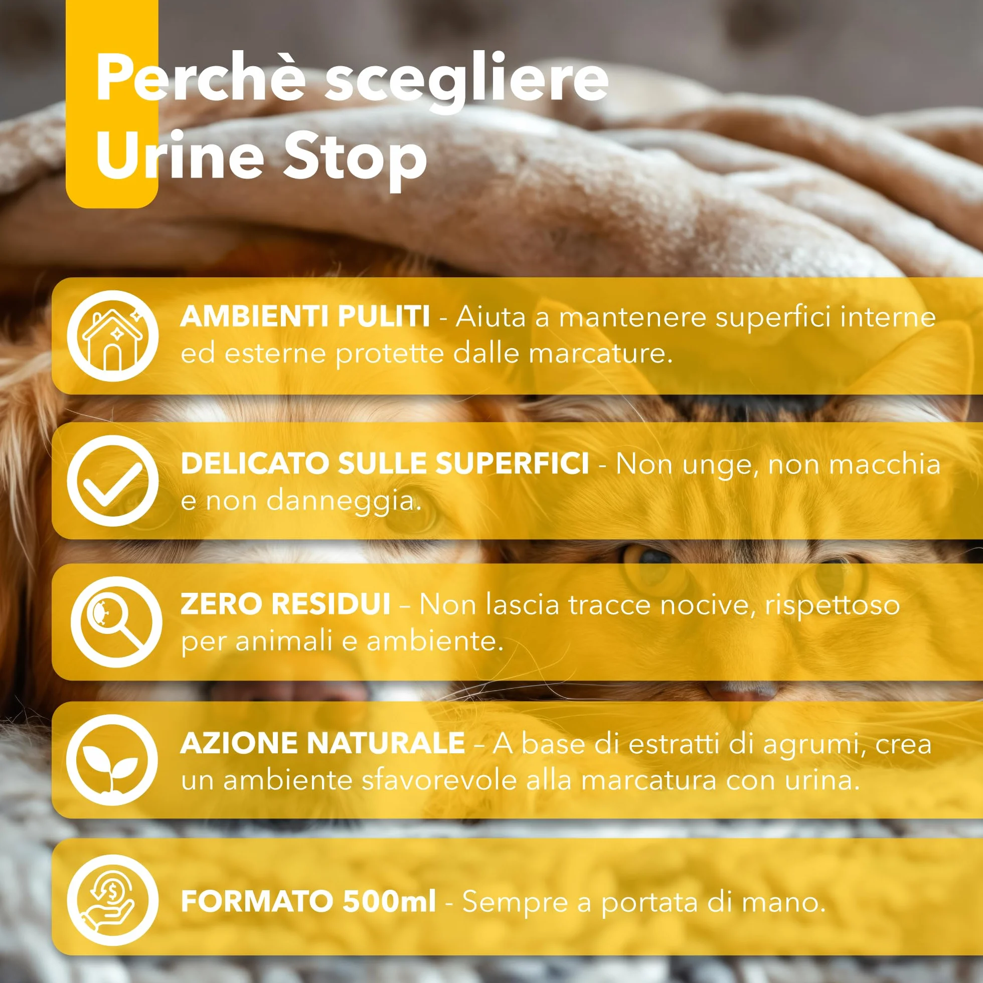 Bionee Urine Stop Spray Naturale per Cani e Gatti 500 ml – Doppia Azione: Disabituante agli Agrumi + Elimina Odori – Pronto all’Uso, Non Macchia, Sicuro per Ambienti Interni ed Esterni