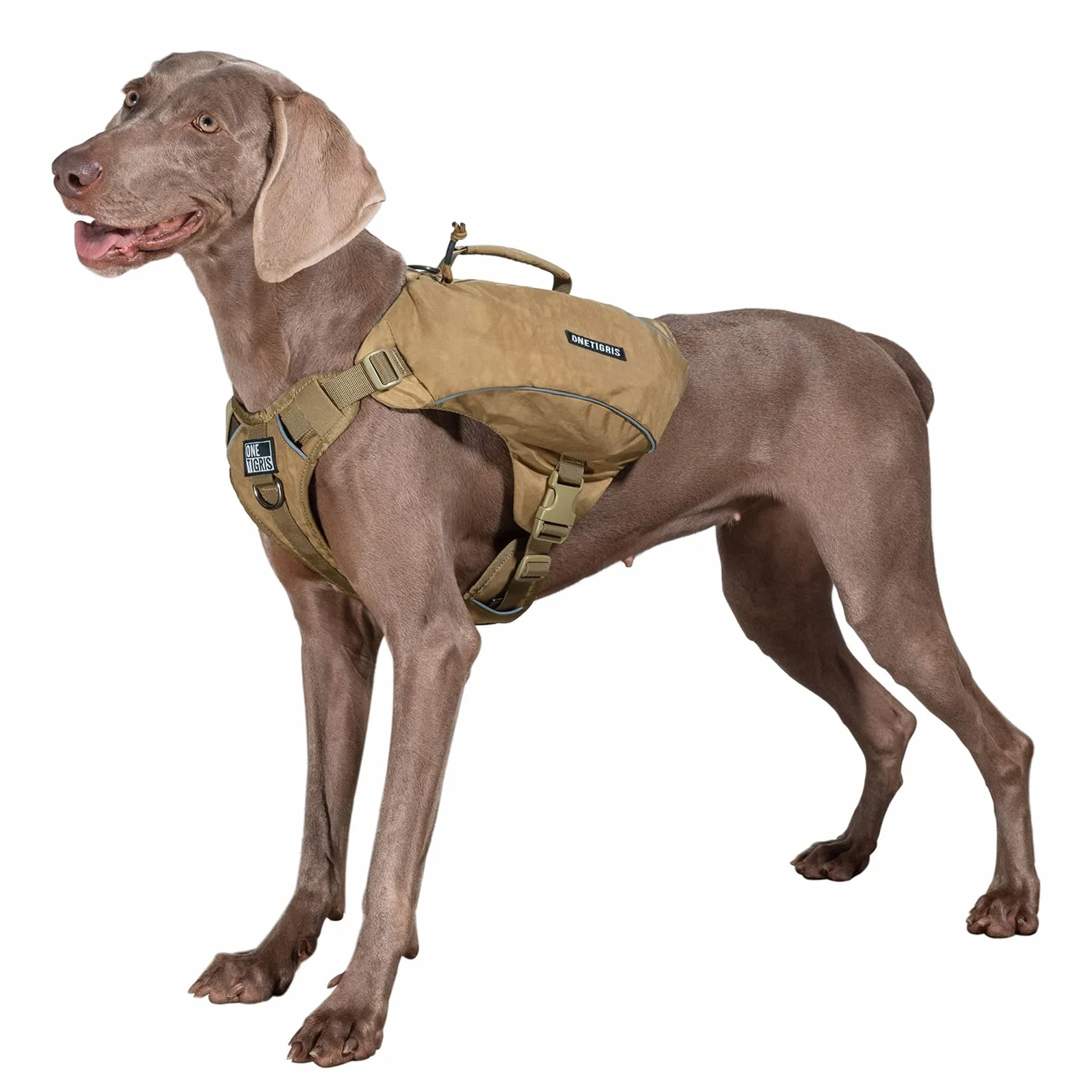 OneTigris Camelus zaino per cani indistruttibile per campeggio ed escursioni per cani di taglia M/L (taglia M, marrone coyote)