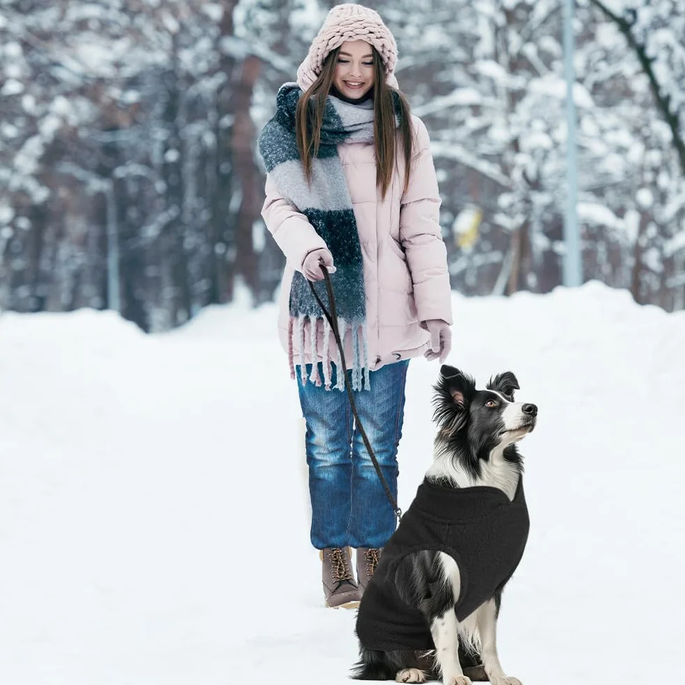 Maglioncino e Cappottino per Cani Taglia Piccola - Vestito per Cane e Gatto con Anello a D Nero M