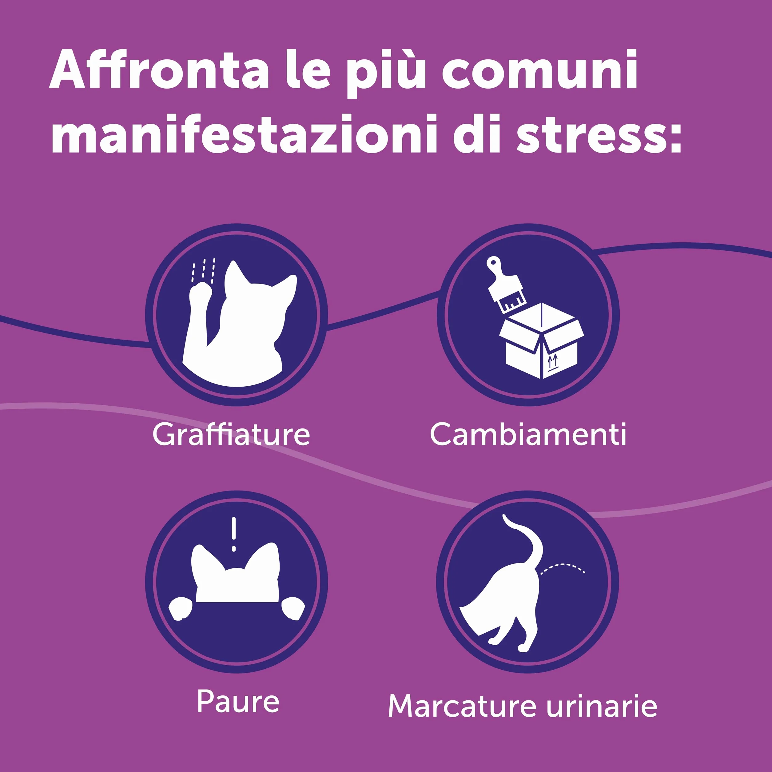 FELIWAY Classic Starter Kit Diffusore di Feromoni Calmanti per Gatti, 48 ml – Aiuta a risolvere i segni comuni di stress nei gatti e gattini, Raccomandato dai Veterinari, Clinicamente Testato