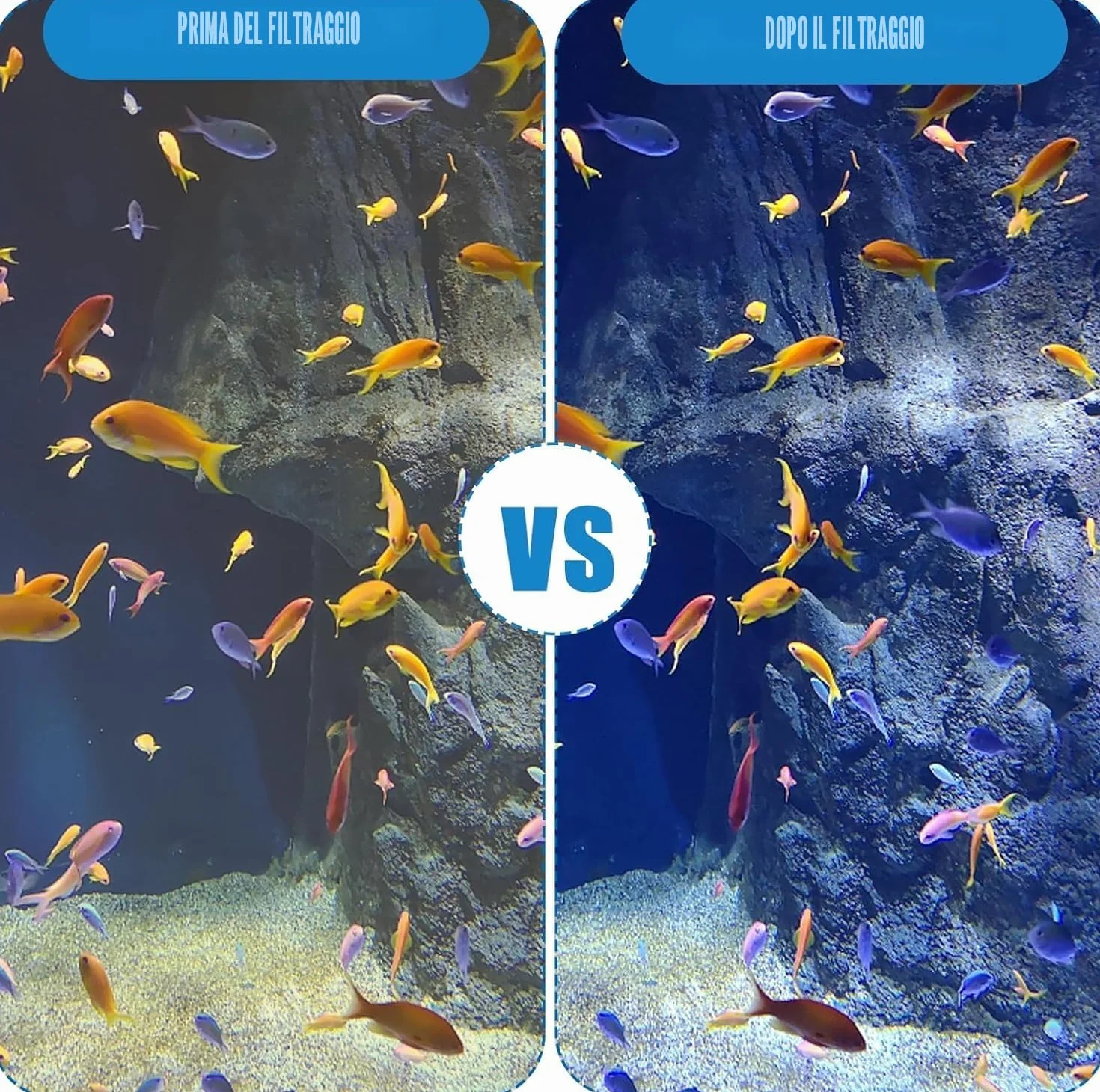Spugna filtrante per acquario, 2 m di tampone filtrante per acquario, tampone filtrante biochimico ispessito,Schiuma filtrante per acquario di bacino