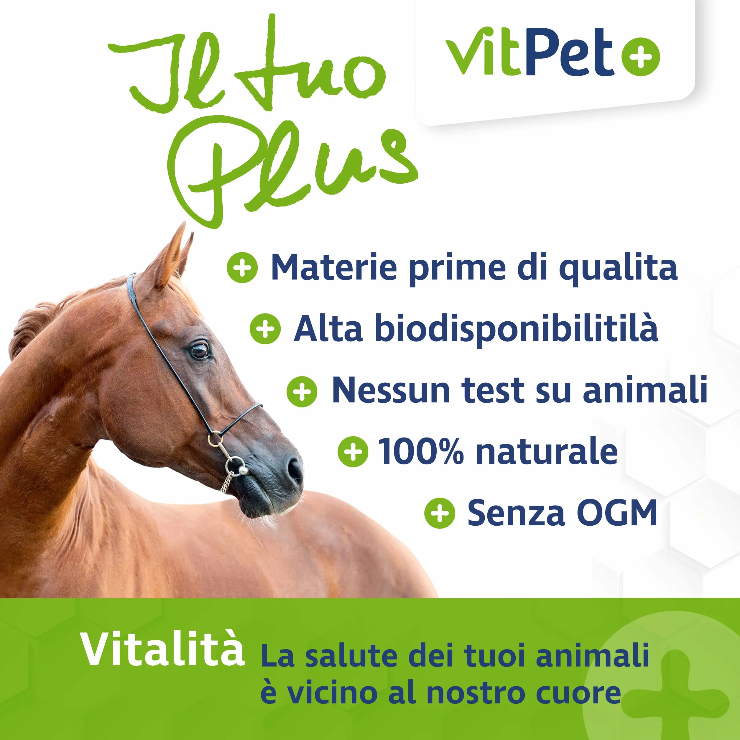 MSM polvere per cavalli Metilsulfonilmetano 1,8 kg