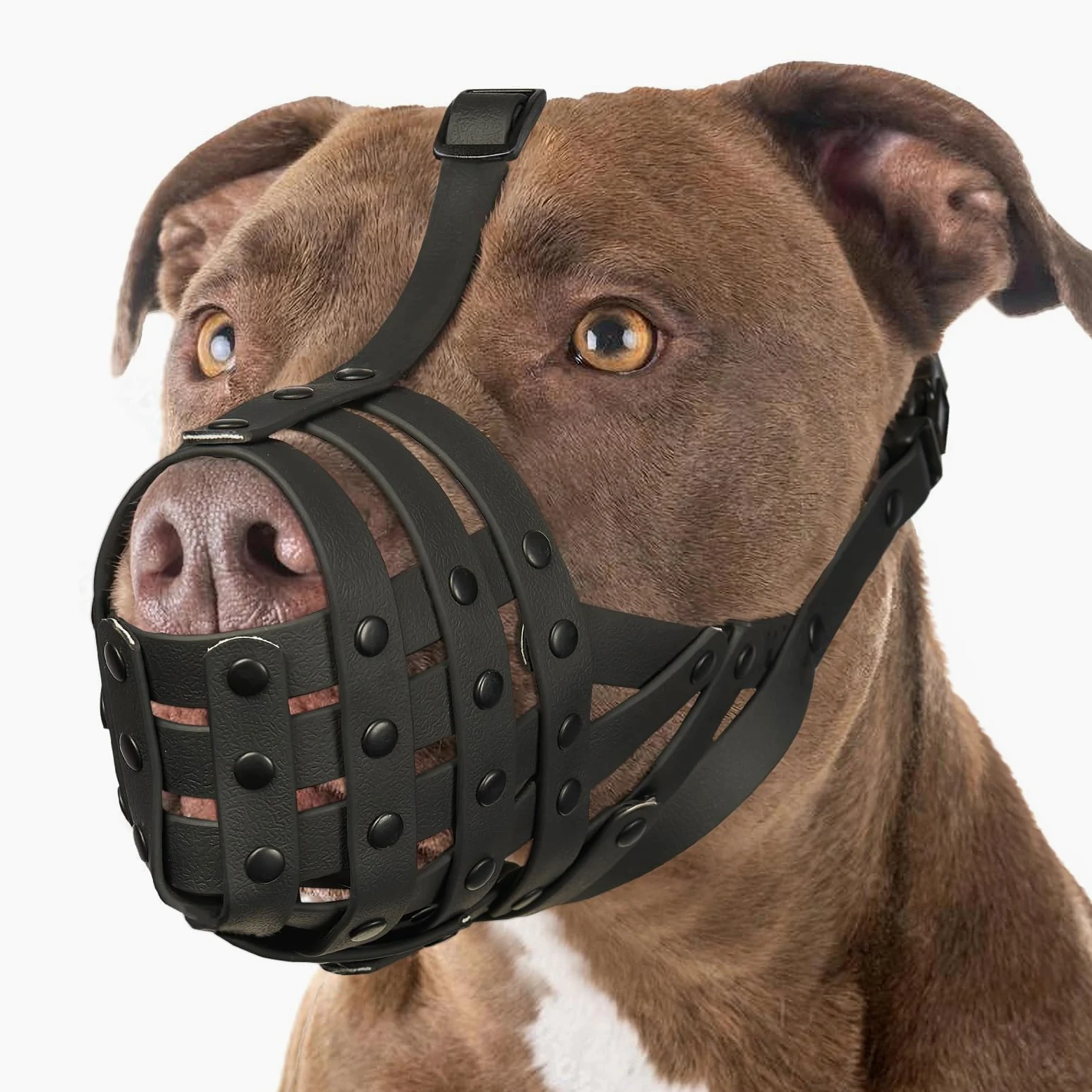 La museruola a cestello Mayerzon, leggera e robusta, è ideale per cani di taglia media e grande come Pitbull, Rottweiler e Staffordshire Terrier, in quanto previene morsi e permette di ansimare, bere