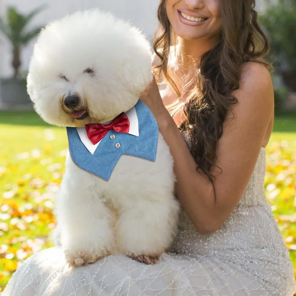 Bandana da Smoking per Cani, Collare Formale con Papillon Rosso per Cane Piccola Media Grande Festa Natale Cosplay Matrimonio