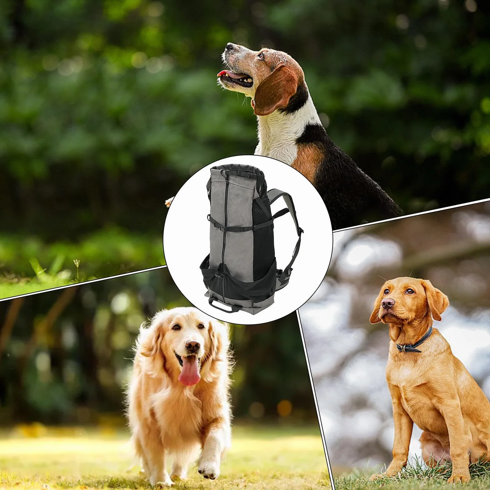 Zaino da Viaggio per Cani, 60 cm, spazioso Zaino per Animali Domestici, Struttura a 4 Strati, Design Sicuro e Anti Pizzico, Borsa per Il Trasporto degli Animali Domestici sicura e