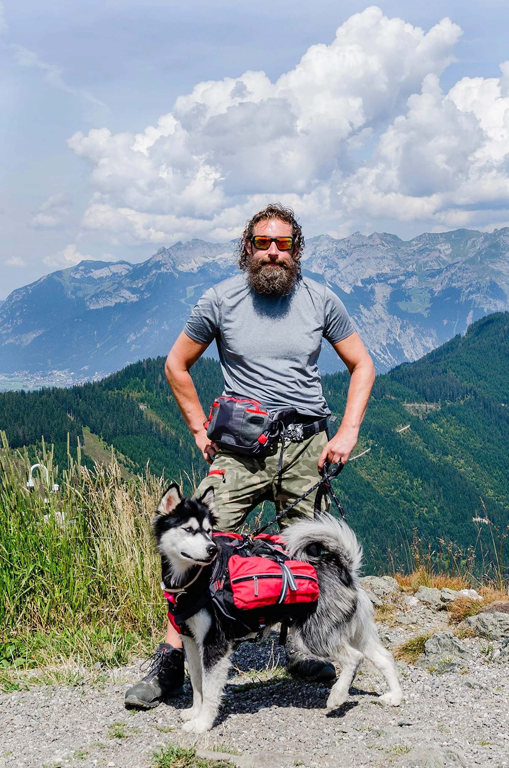iEnergy Zaino per cani MAL - Zaino per cani - Zaino resistente alle intemperie per cani - Zaino da trekking ben imbottito, Rosso, Grande