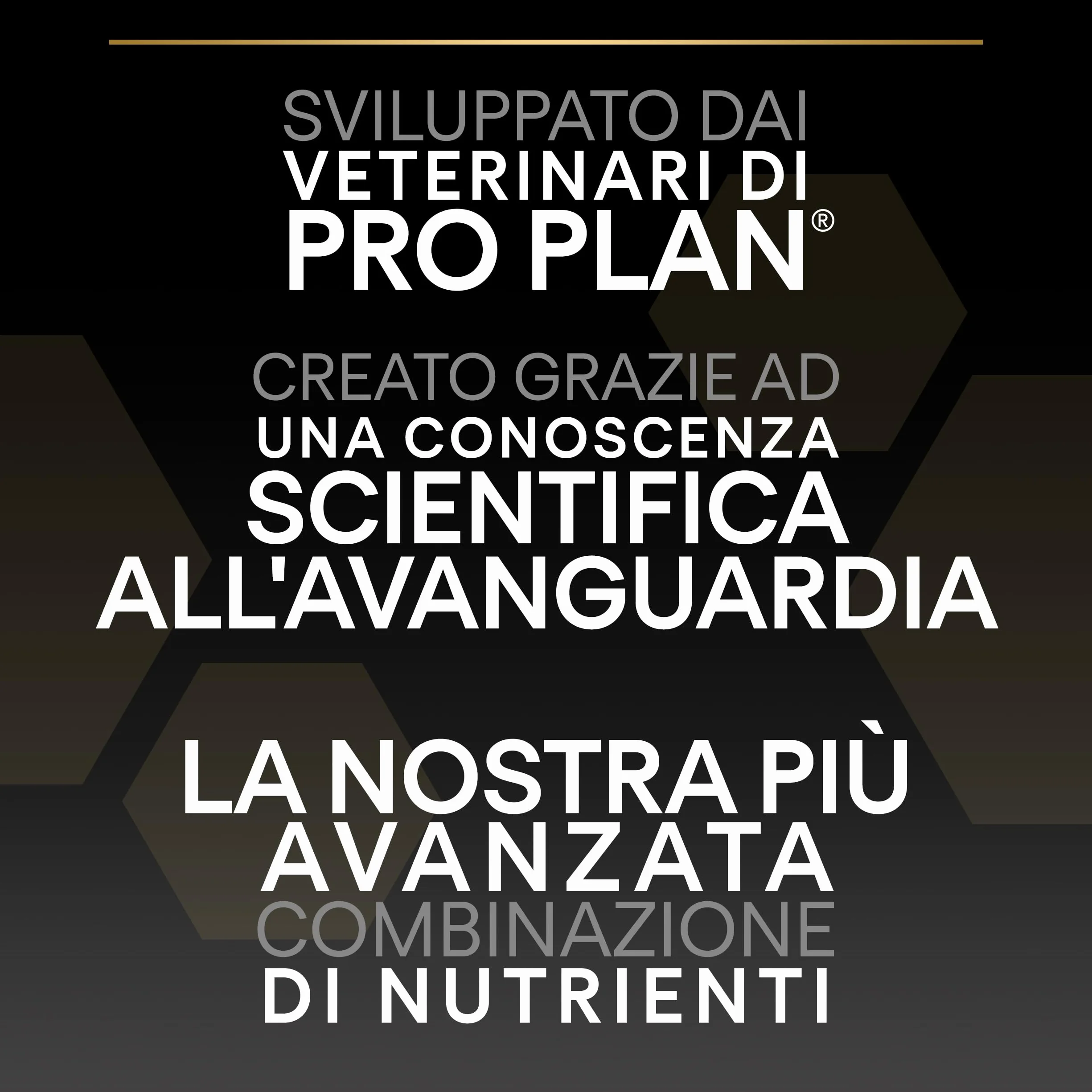 Purina Pro Plan Optiderma Medium Adult Crocchette Cane Salmone 14kg