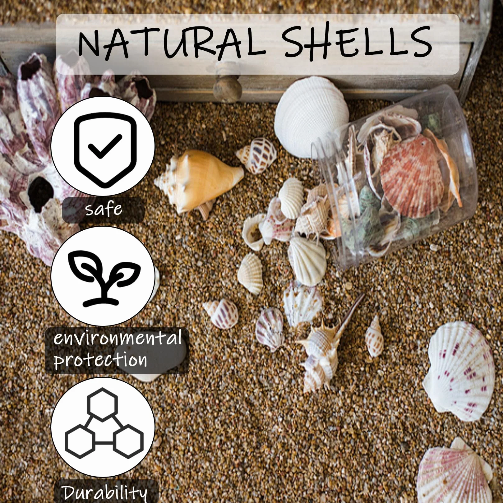 500g Conchiglie Decorative, Conchiglie Marine Naturali da 2-8 cm, Conchiglia per Decorazioni Mare Oceano Artigianato fai da te Acquari Feste a Tema Spiaggia Matrimoniali DIY