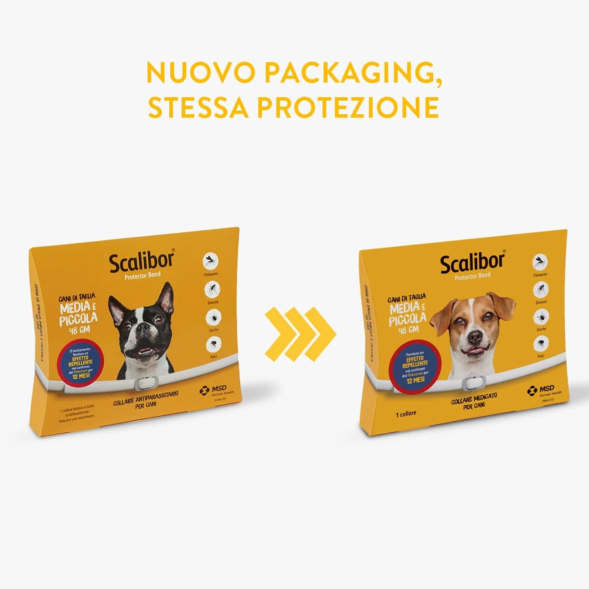 Scalibor Collare 48 cm MSD Animal Health