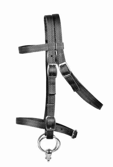 Pfiff 102291 - Set completo di sella per Shetty e cavalli di legno/peluche, colore: nero