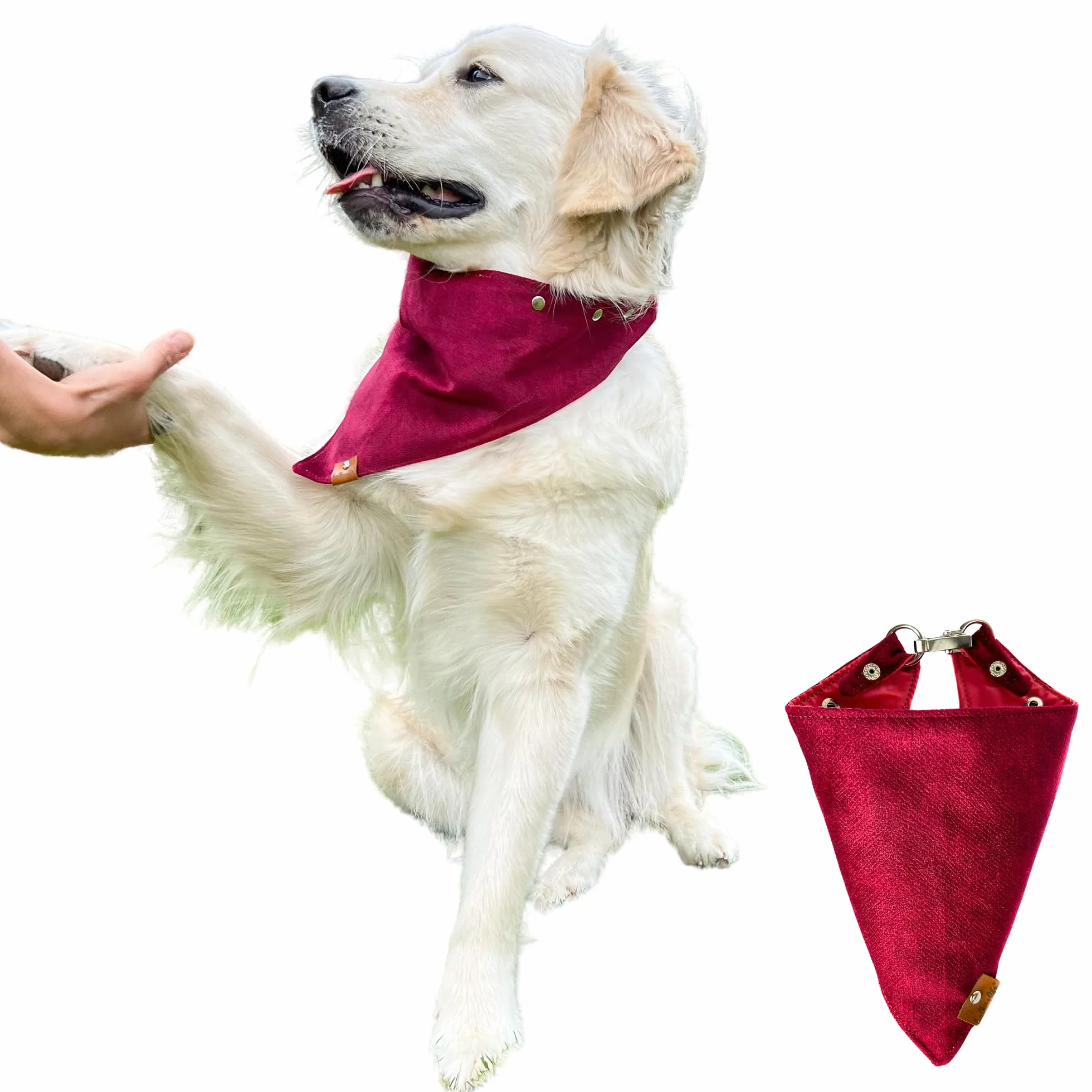 Bandana per cani con chiusura in metallo – collare regolabile per cani in morbido velluto, facile da pulire e confortevole (Ciliegia, L)