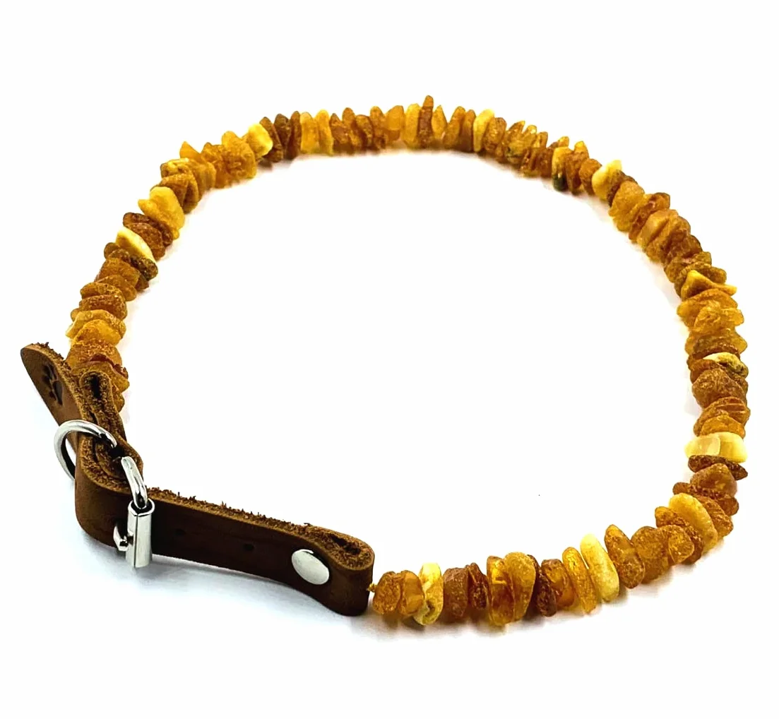 Naturalna ambra baltica collari per cani 40-45 cm