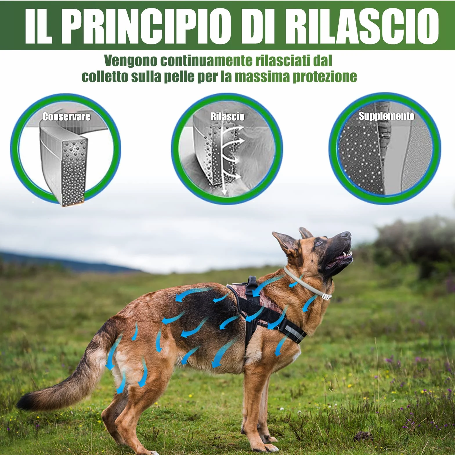 Collare Antipulci e Zecche Regolabile Impermeabile 63cm per Cani 8 Mesi Protezione
