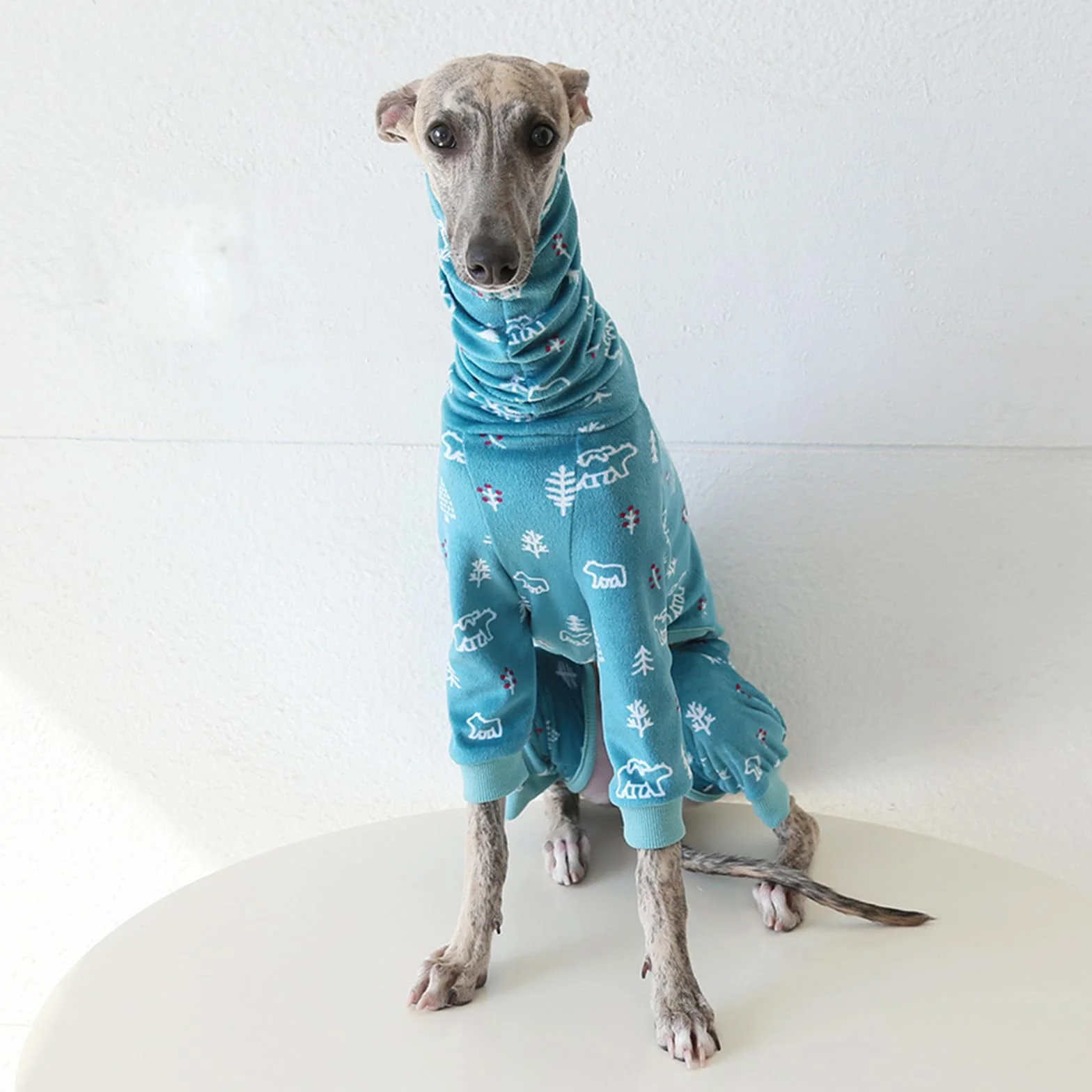 Pigiama per cani levriero italiano dolcevita whippet cotone morbido tuta da casa blu XXL
