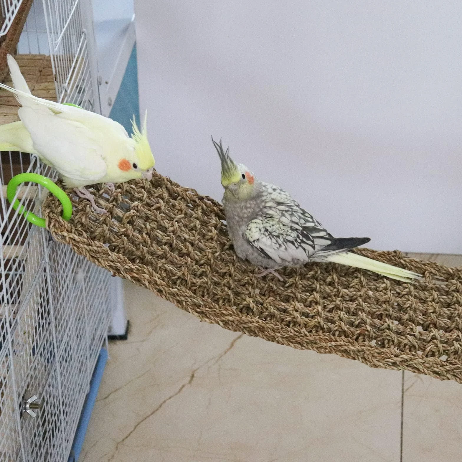 Dnoifne Tappetino in Erba Marina 100 × 18 cm – Rete Intrecciata Naturale con Ganci – Amaca e Scala per Uccelli, Roditori e Piccoli Animali