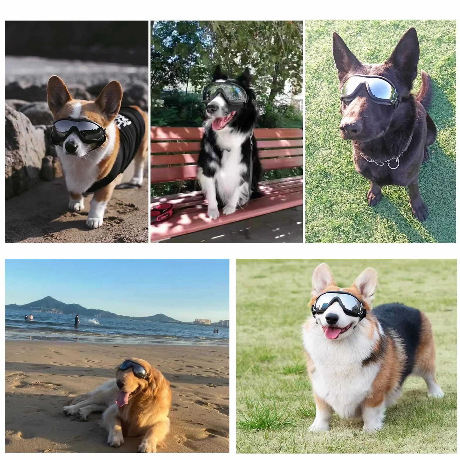 Occhiali per cani, occhiali da sole per cani con cinturino elastico, occhiali UV per animali domestici, proteggono gli occhi del cane da raggi UV, vento, polvere nebbia, razza media/grande