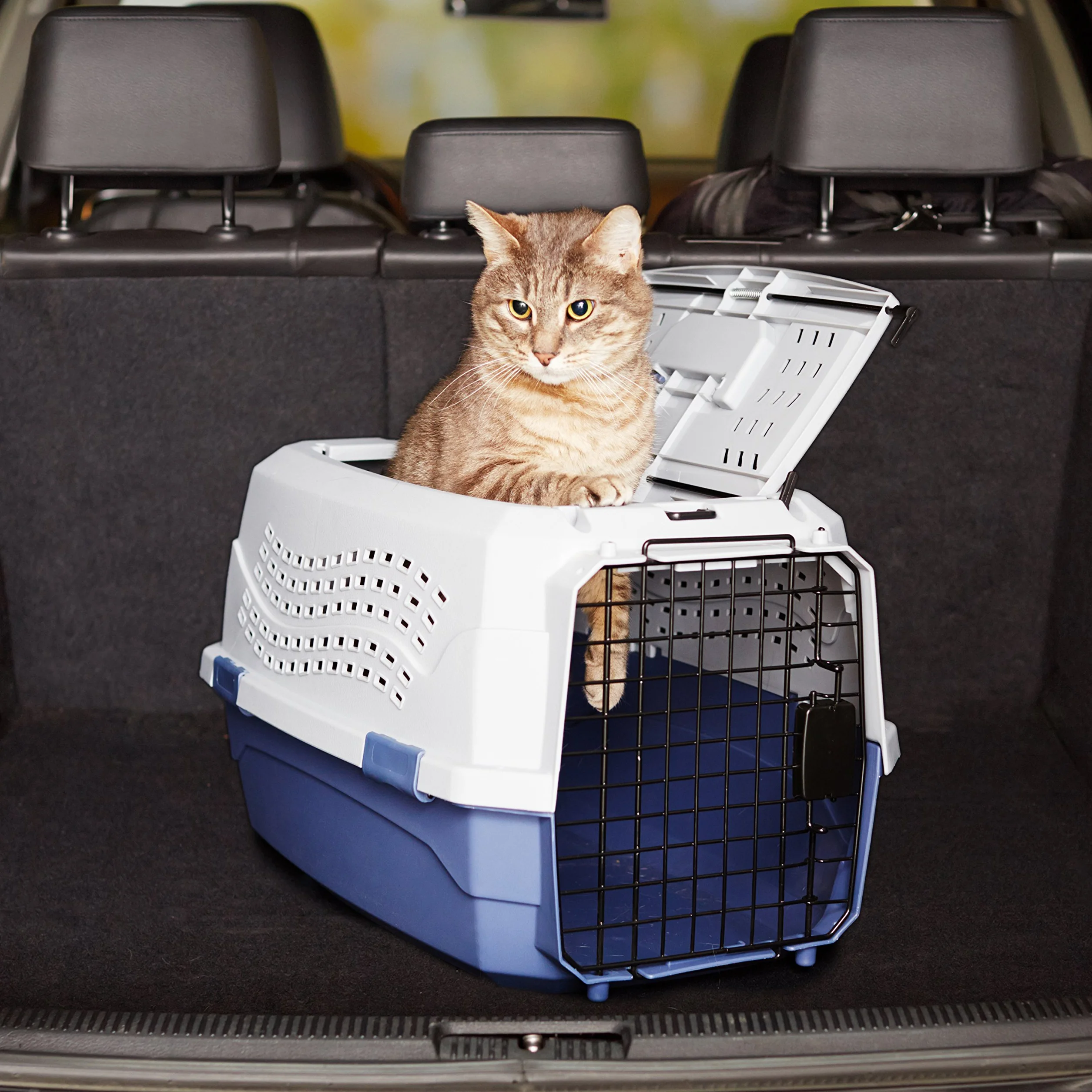 Amazon Basics Cuccia per Animali Domestici a Due Porte con Caricamento dall'alto da 23 Pollici L 58 x P 38 x H 33 cm, Cane Gatto, Blu