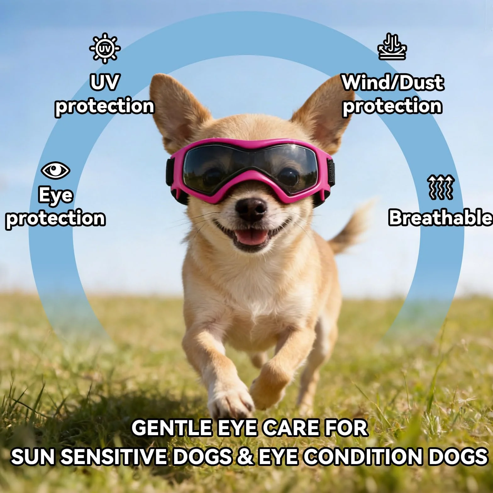 Occhiali da sole per cani Extra Piccoli XS Cani Moto Occhiali con Elastico Regolabile Chihuahua Occhiali da sole - Rosa, XS