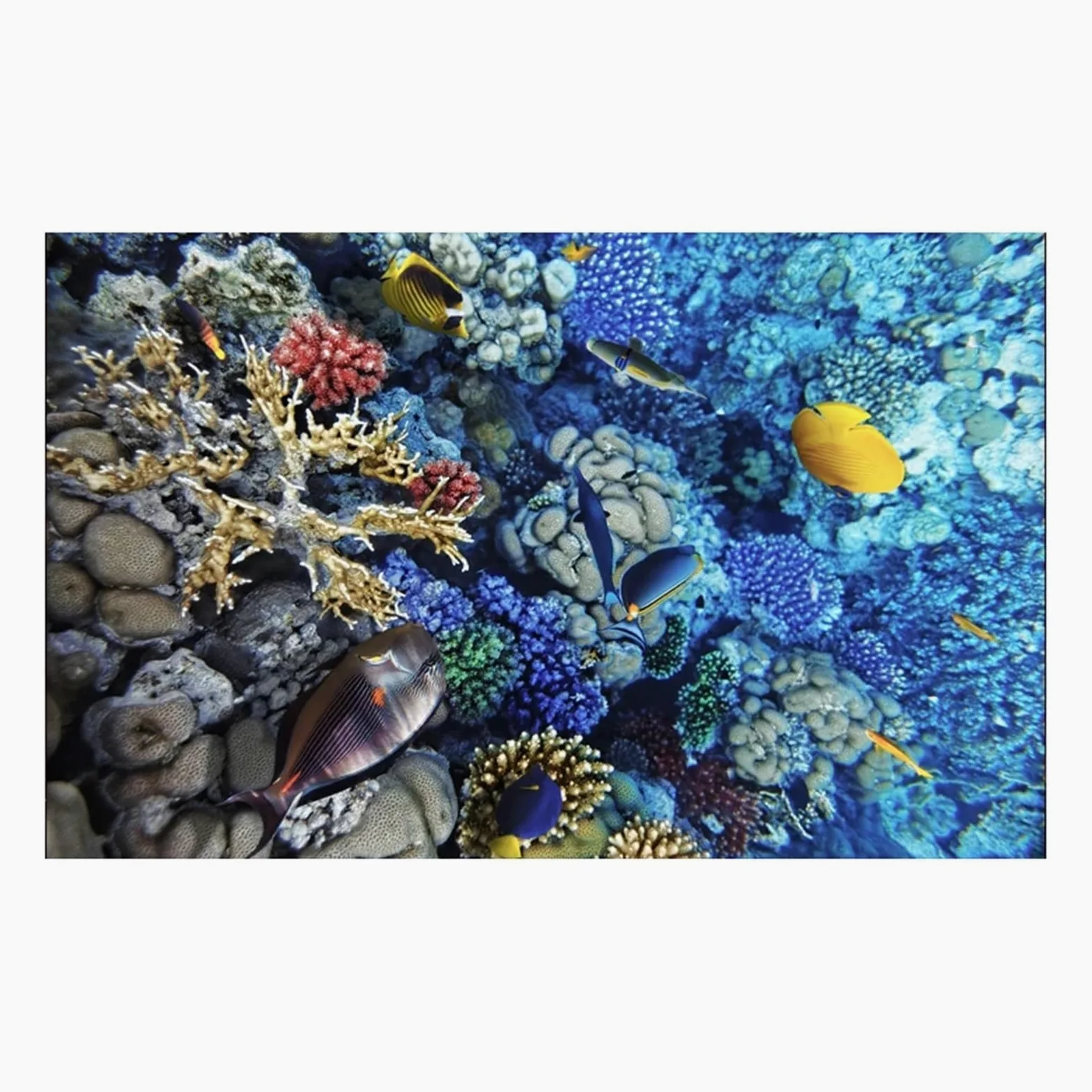 Immagine Di Sfondo Per Acquario Adesivo for sfondo acquario Poster di corallo sottomarino Decorazione for acquario Carta da parati autoadesiva Sfondo 3d Per La Decorazione Di Acquari(50x100cm)