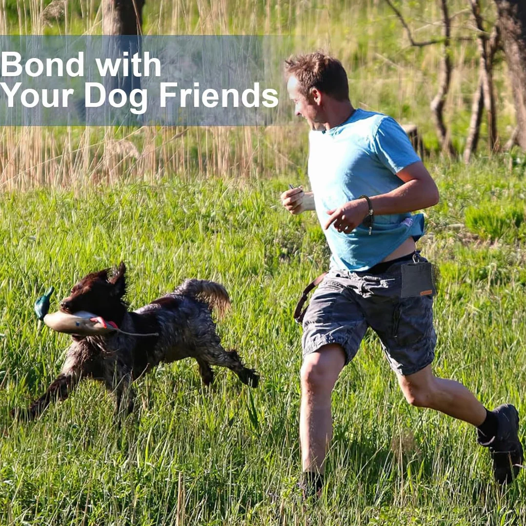 Borsa Addestramento Cane, Porta premietti per Cani, Porta Snack Cane, Sacchetto per cani a mani libere con moschettone, addestramento Cani Accessori, per addestramento di Cani (Nero)