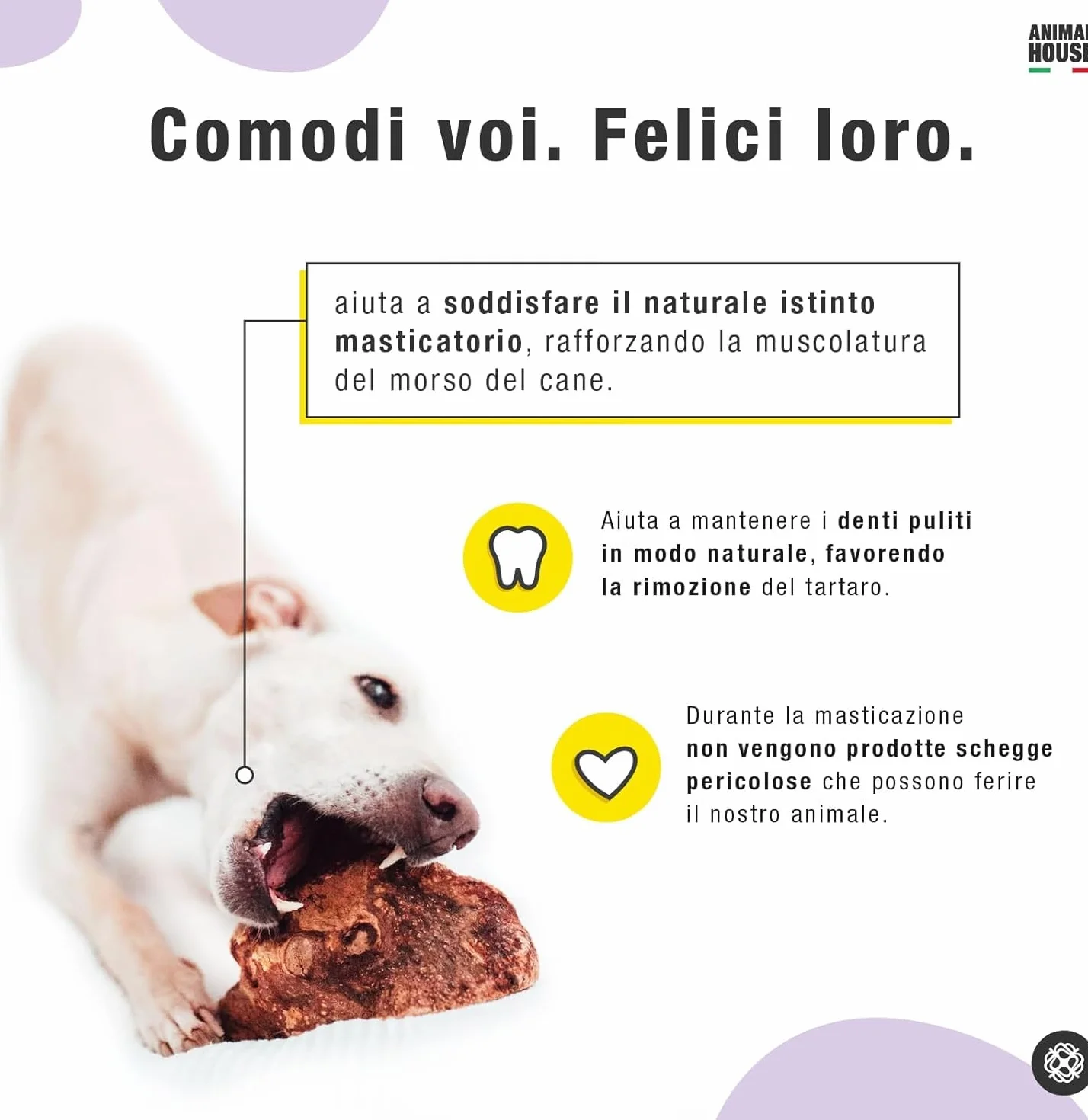 Animal House Radice di Erica per Cani, Masticativo Naturale, Ottimizza l'igiene Orale, Antistress per cani, Resistente e Duraturo (L)