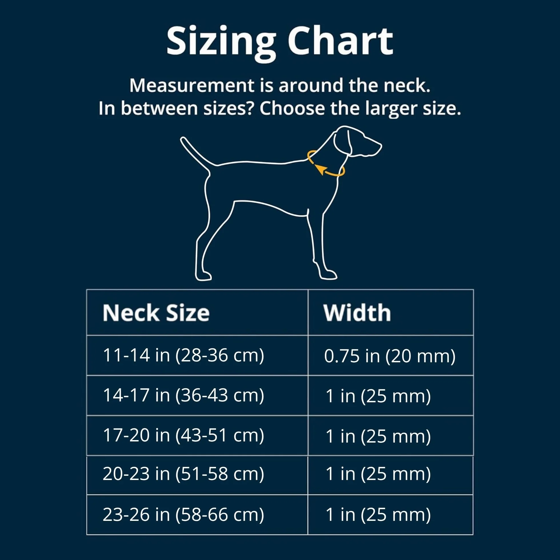 RUFFWEAR Collare di reazione Web, Collare per cani extra piccolo, Collare Martingale regolabile con anello a V in alluminio e rilascio laterale, Comodo collare per, 17"-20" Blue Pool