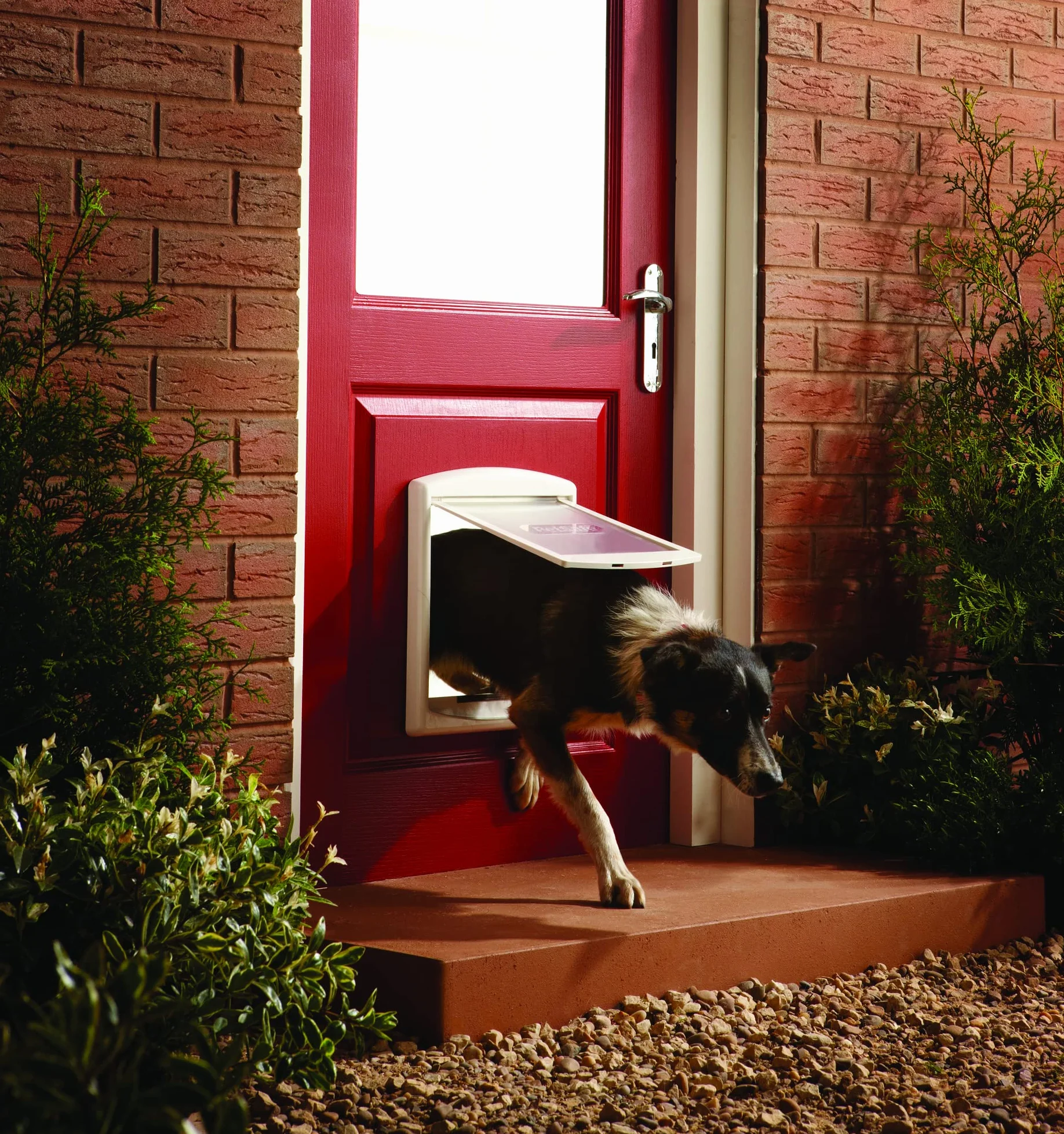 PetSafe Staywell Original Gattaiola per Gatti Porta Ingresso Uscita Bianco Medio