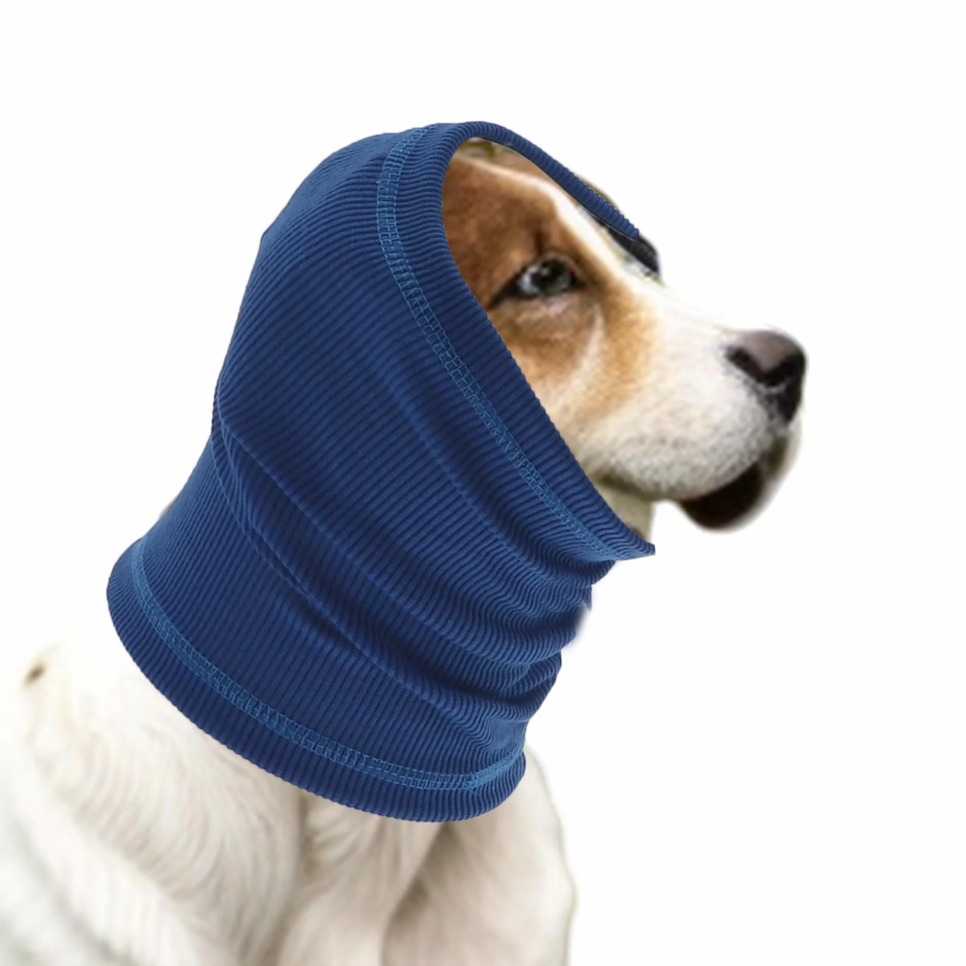 Cuffie Antirumore per Cani Fascia Protettiva Orecchie Blu L