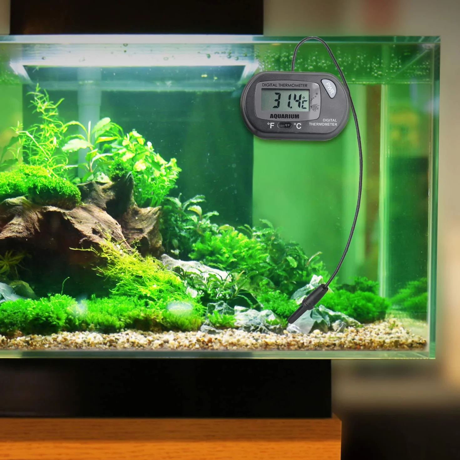 DIGIFLEX Termometro Digitale LCD per Acquari Marini