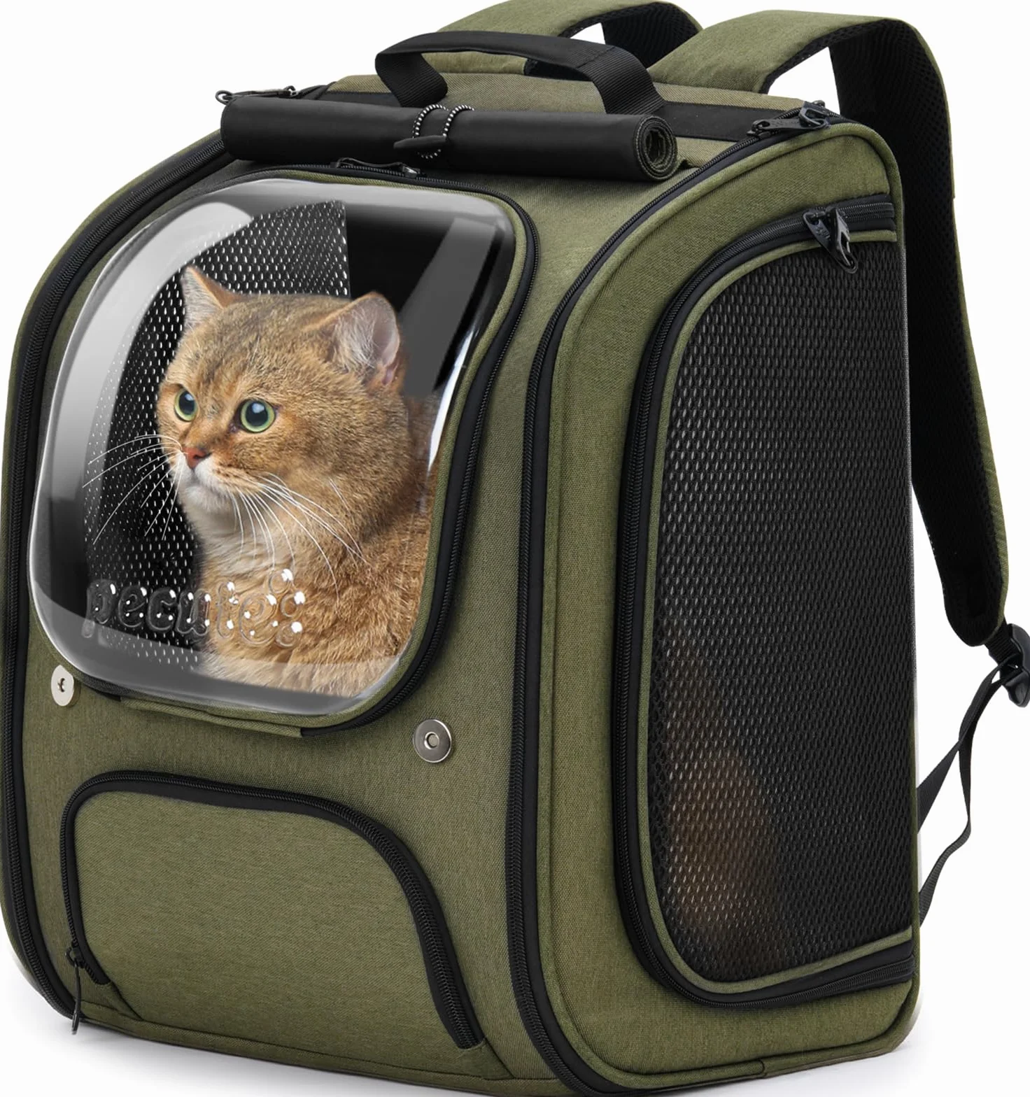 Pecute Zaino Trasportino per Gatti a Bolla - Ampio spazio stabile, parasole traspirante, ideale per viaggiare, fare escursioni, fare visitare cliniche veterinarie con il tuo animale domestico, Verde