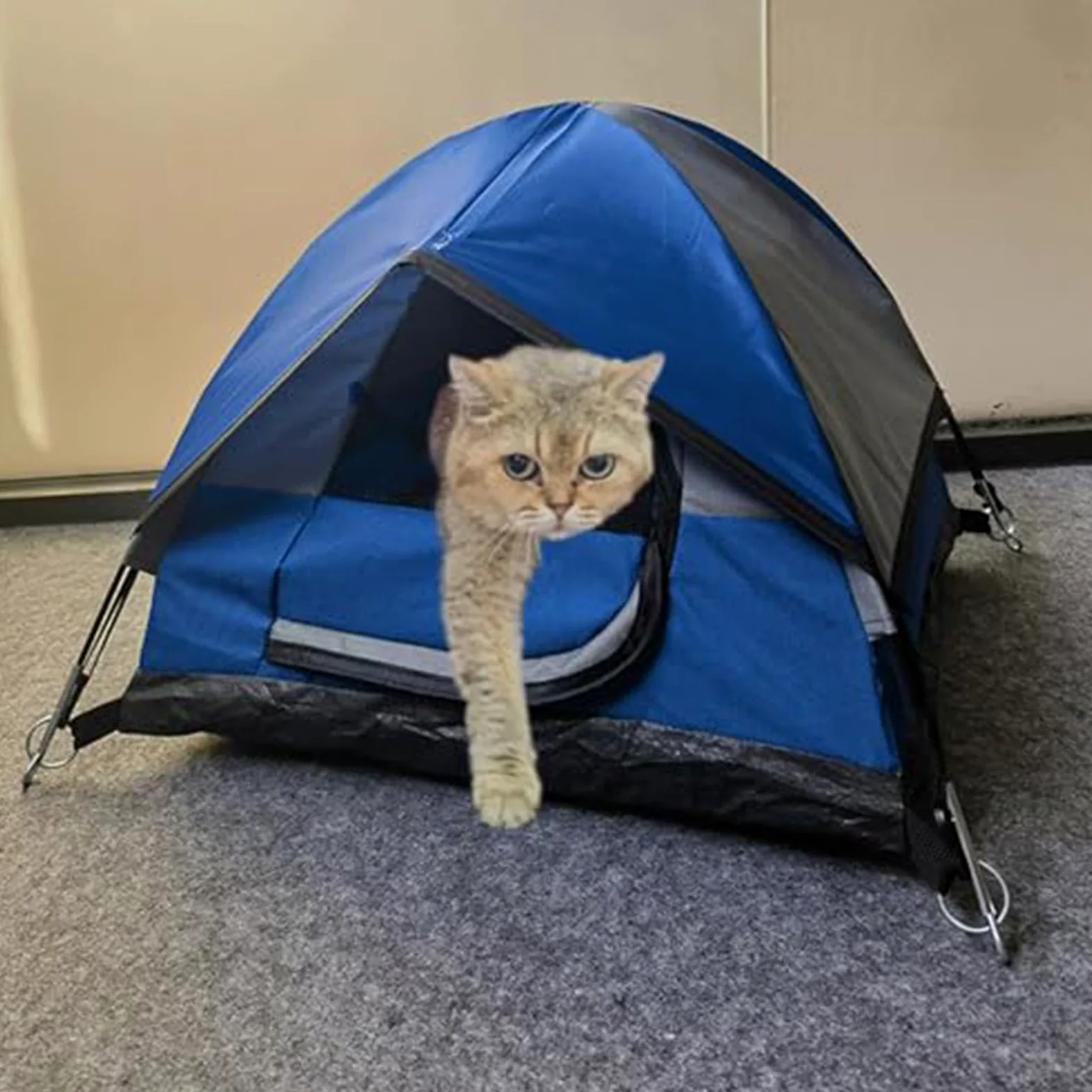 Generico Tenda per gatti, tenda da campeggio per animali Tenda da per gatti | Tenda da per gatti all'aperto, tenda per gatti impermeabile per cani di piccola taglia, animali domestici,