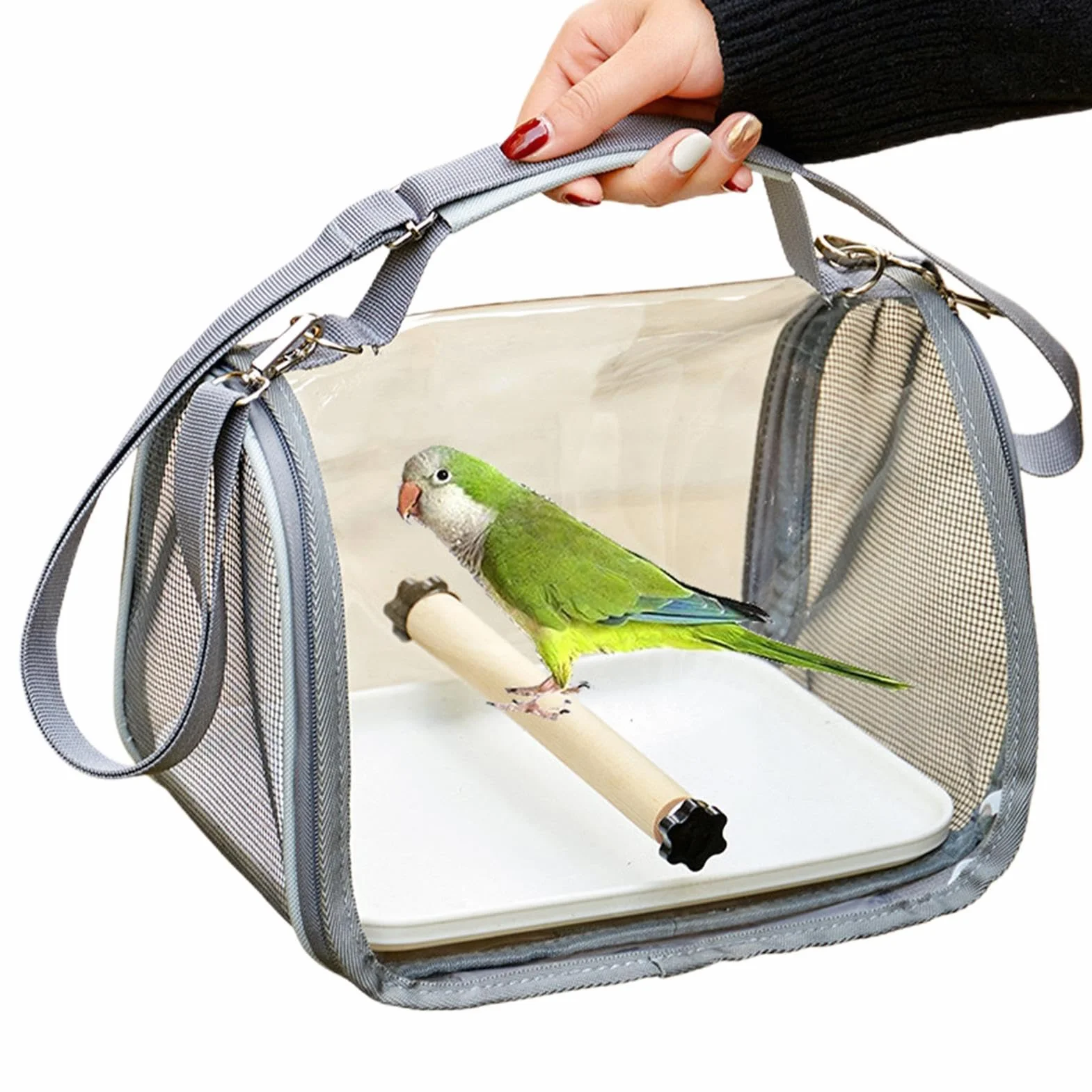 Borsa da trasporto per pappagalli, trasportino per parrocchetti con posatoio, calopsitta, piccola gabbia per il trasporto di animali domestici, parrocchetti, piccioncini, calopsitte