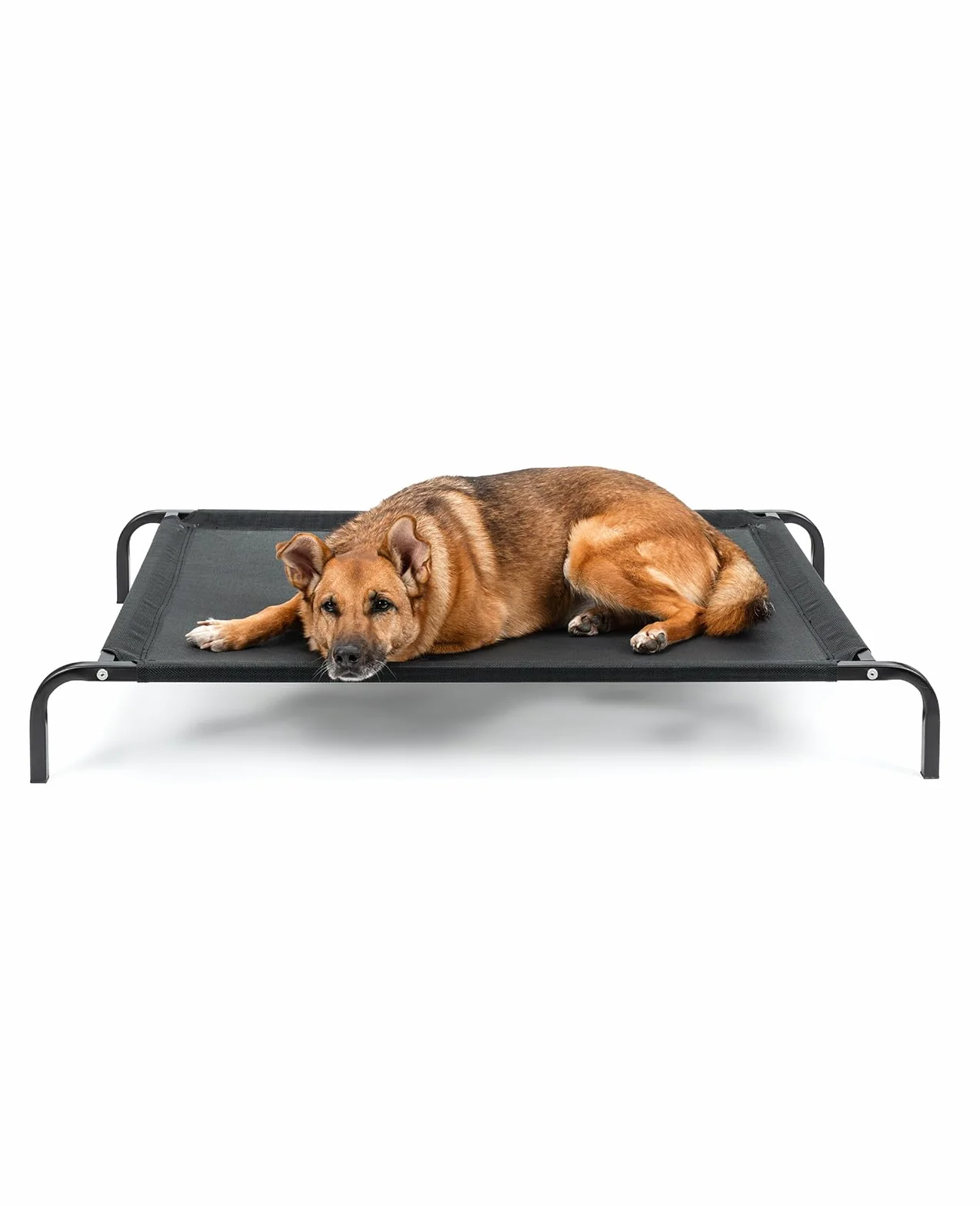 Lionto Lettino rialzato per Cani 114x76 cm Nero