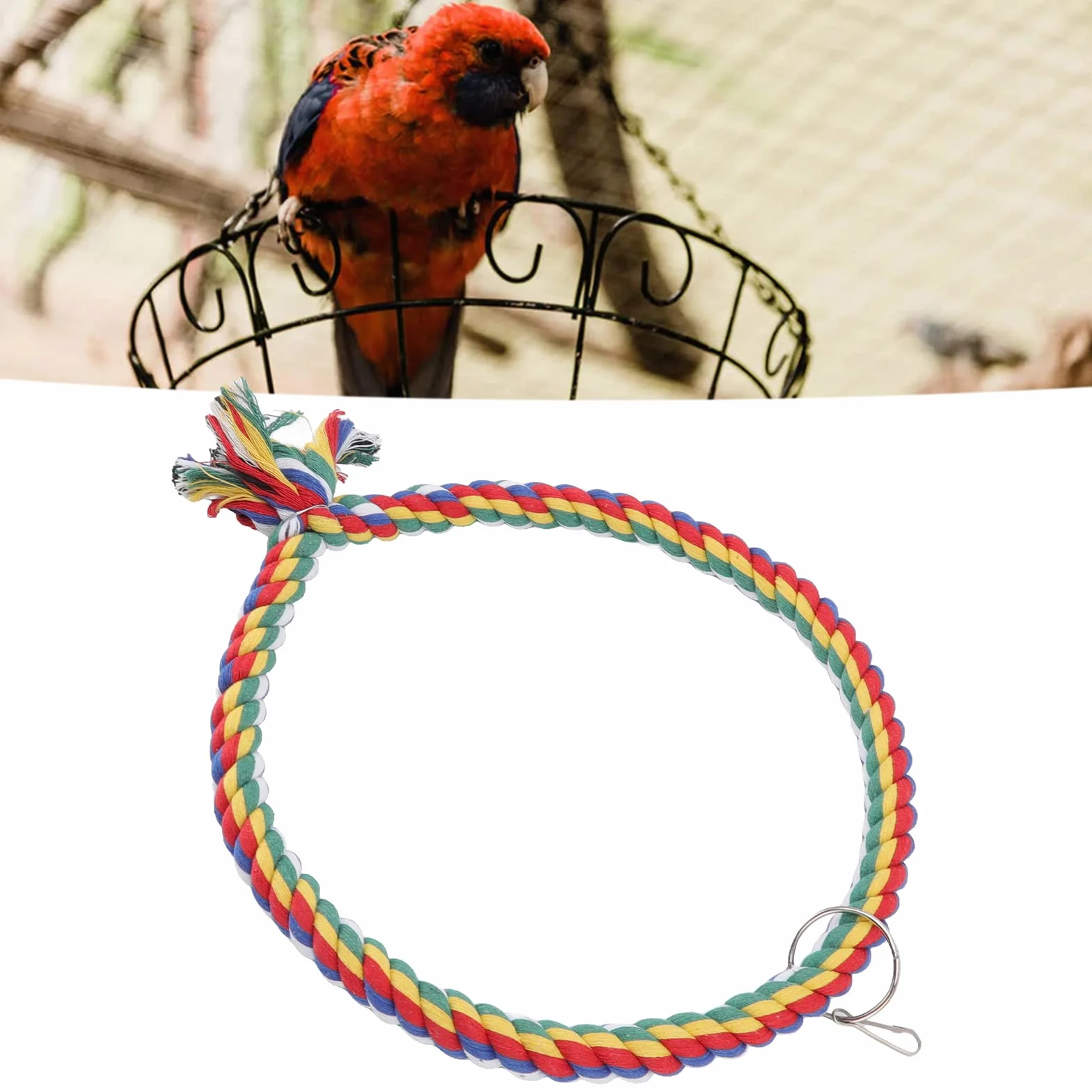 Altalena per Pappagalli con Corda di Cotone - Cerchio da Arrampicata per Uccelli - Misure Piccole e Grandi