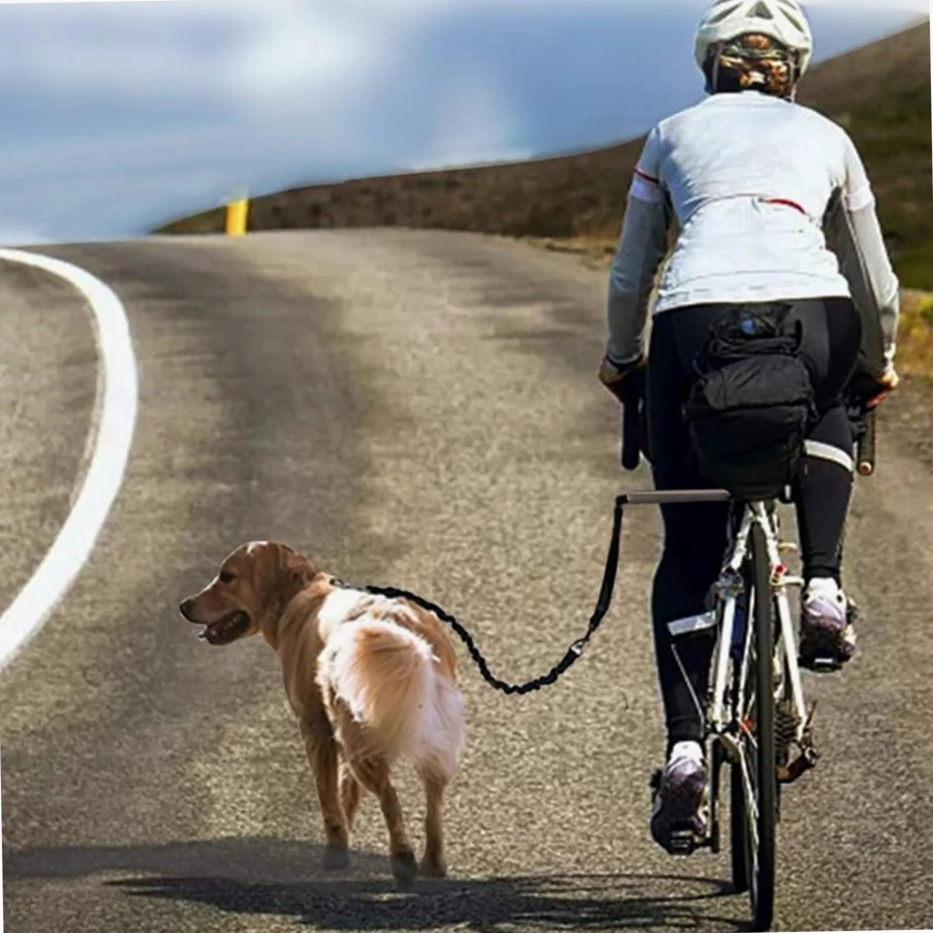 Guinzaglio per cani da bici Attacco per bici per cani resistente a mani libere con guinzaglio retrattile per esercizi a