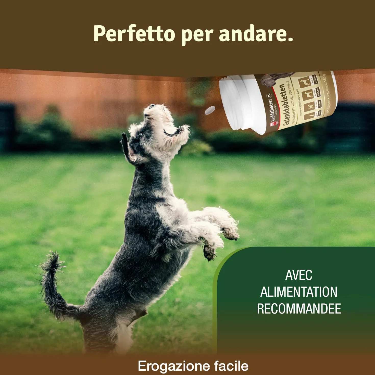 Veddelholzer VINCITORE CERTIFICATO 2024 Compresse per articolazioni cani con cozza dalle labbra verdi MSM artiglio del diavolo Glucosamina collagene