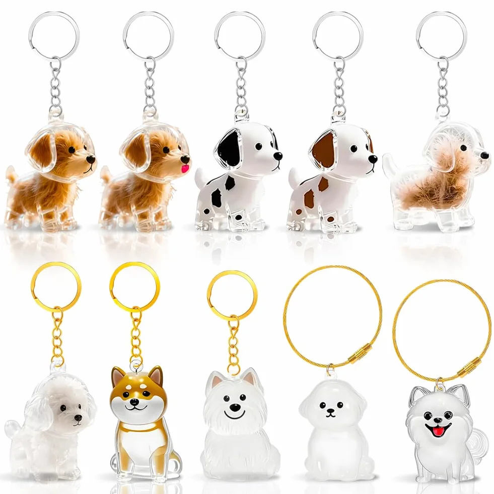 10 Pezzi Portachiavi Ricordo Peli di Cane - Figurina 3D Cane Trasparente, Capsula Conservazione Peli Animale, Regalo Creativo per Amatori di Cani Gatti, Ricordo Perdita Animale Domestico