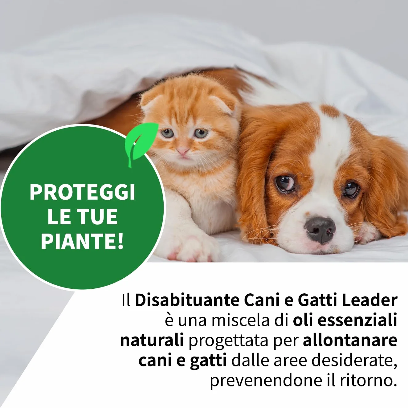 LEADER, Disabituante Spray, Repellente, Dissuasore, Allontana Cani e Gatti, Crea Barriera Olfattiva, Con Oli Essenziali ed Ingredienti Naturali, Uso per Superfici Interne ed Esterne, Formato da 1L