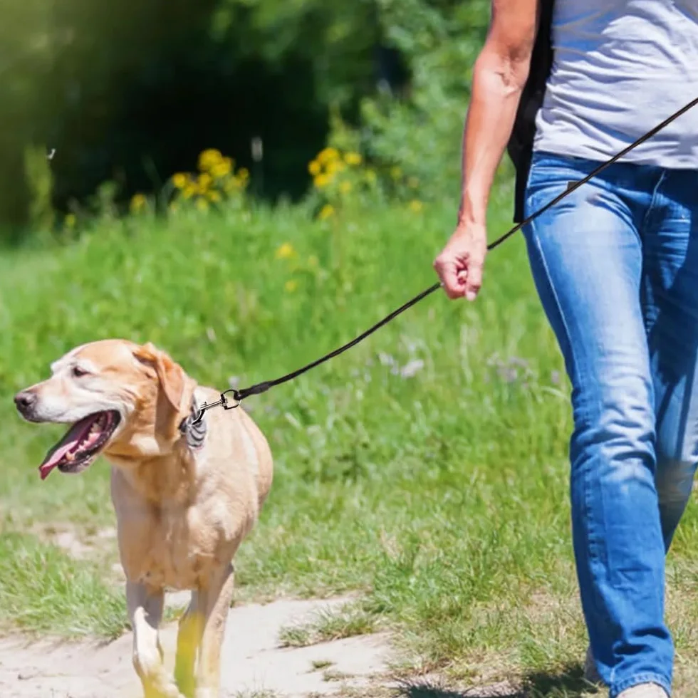 Cavo di sicurezza per cani da 3 m, resistente, per cani, campeggio, picnic, colore: nero