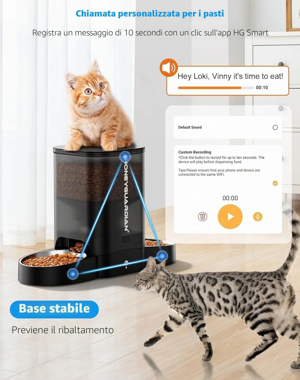 HoneyGuaridan 5L Distributore Automatico Cibo Gatti Adatto a Due Gatti, Dispenser Crocchette Gatto Con 2.4G/5G WiFi, Programmabile 6 Pasti al Giorno, Registrazione Vocale 10s, Doppia Alimentazione