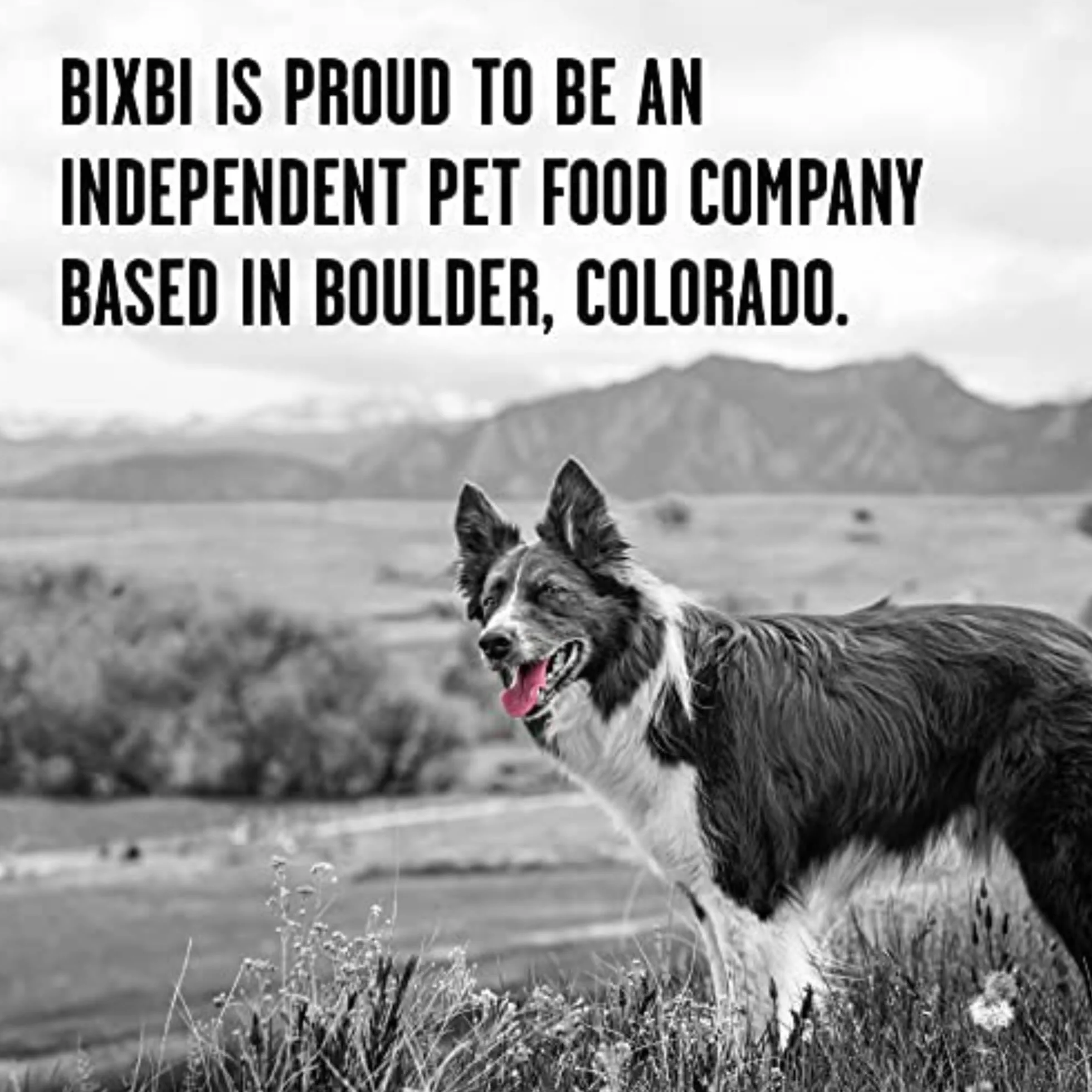 BIXBI Rawbble all-Natural liofilizzati Dog Food