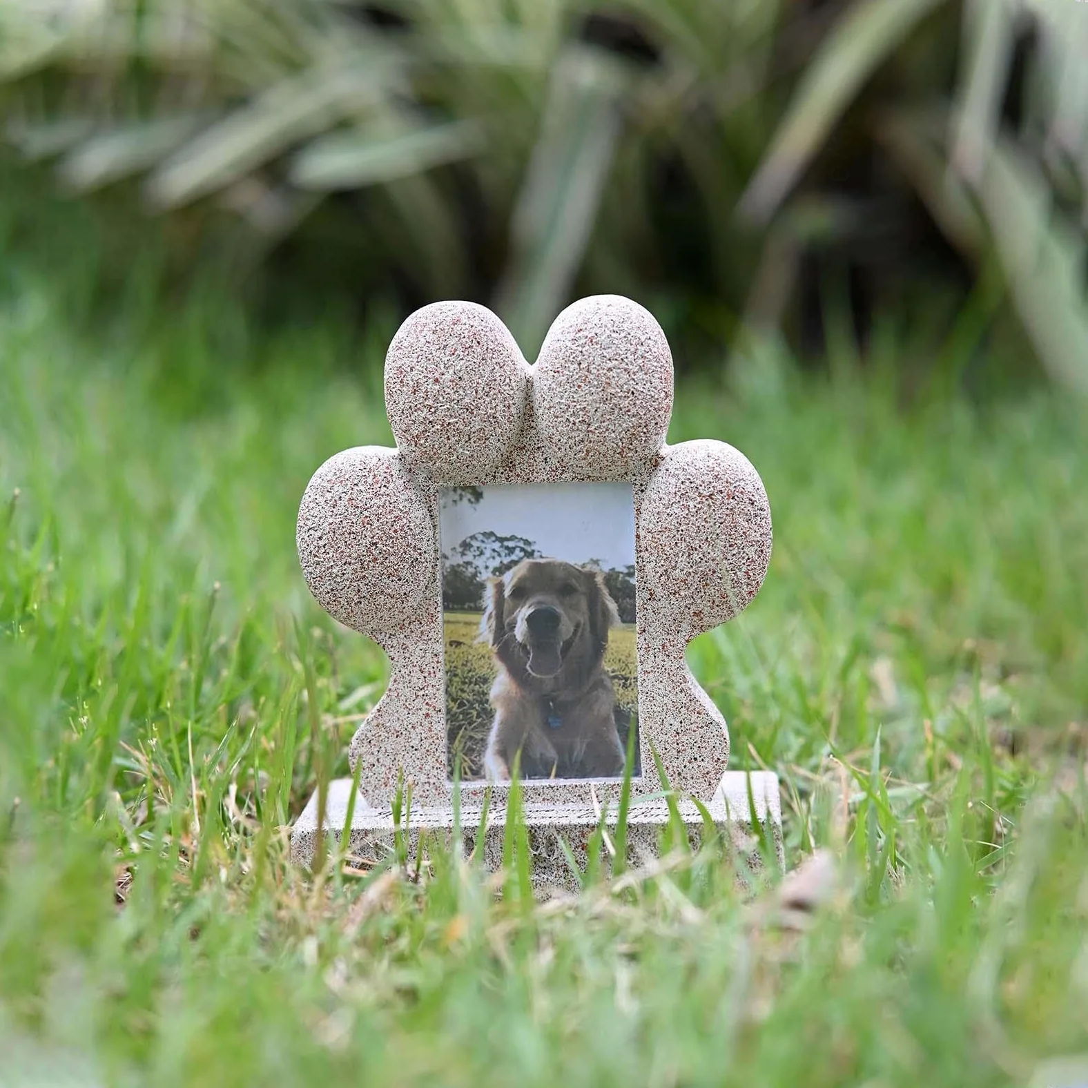 Cornice Commemorativa per Cani con Portachiavi con Peli di Cane, Regalo per Chi Ha Perso Un Cane Ricordo per Cani E Gatti