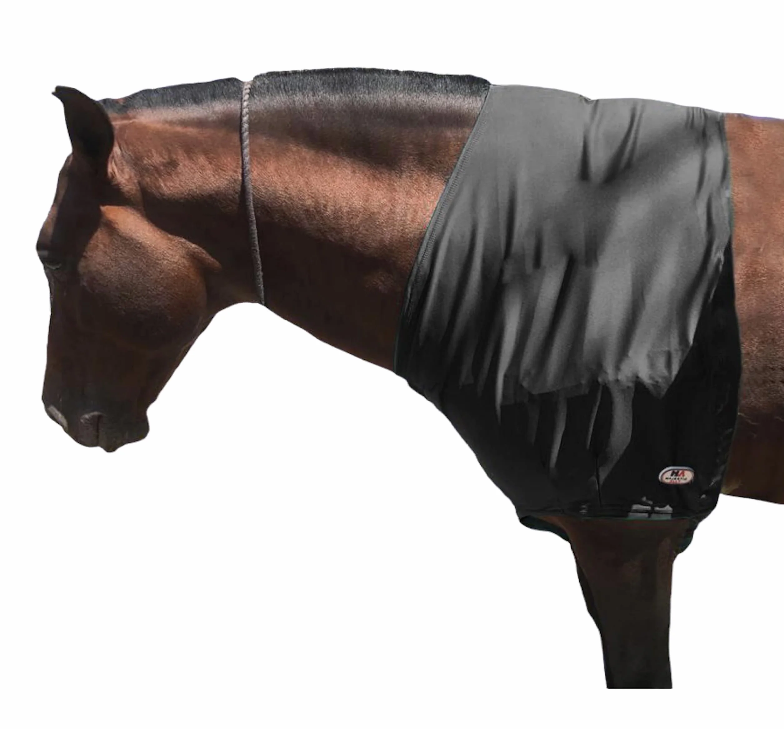 Majestic Ally, Protection Anti-éclats élastiquée en Lycra pour Cavallo, Taglia L, Noir