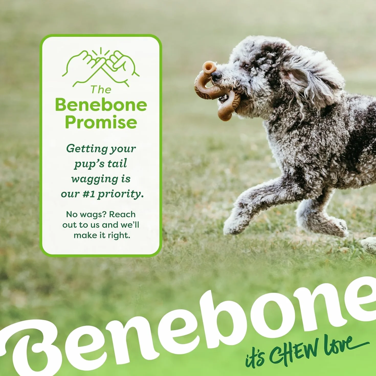 Benebone Confezione da 7 medie