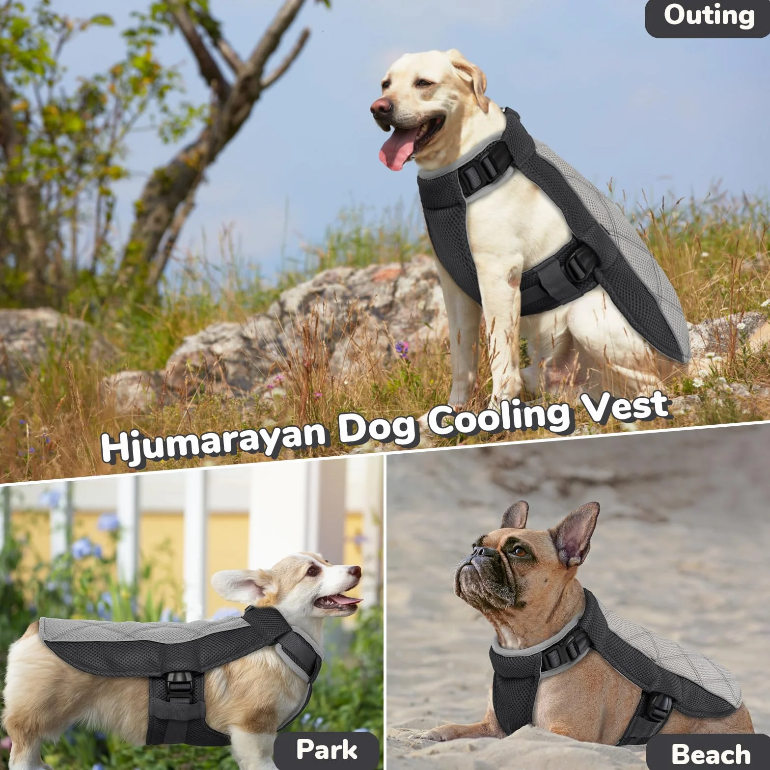 Giubbotto Refrigerante Cane Traspirante Gilet Rinfrescante con Pettorina Grigio Antracite M
